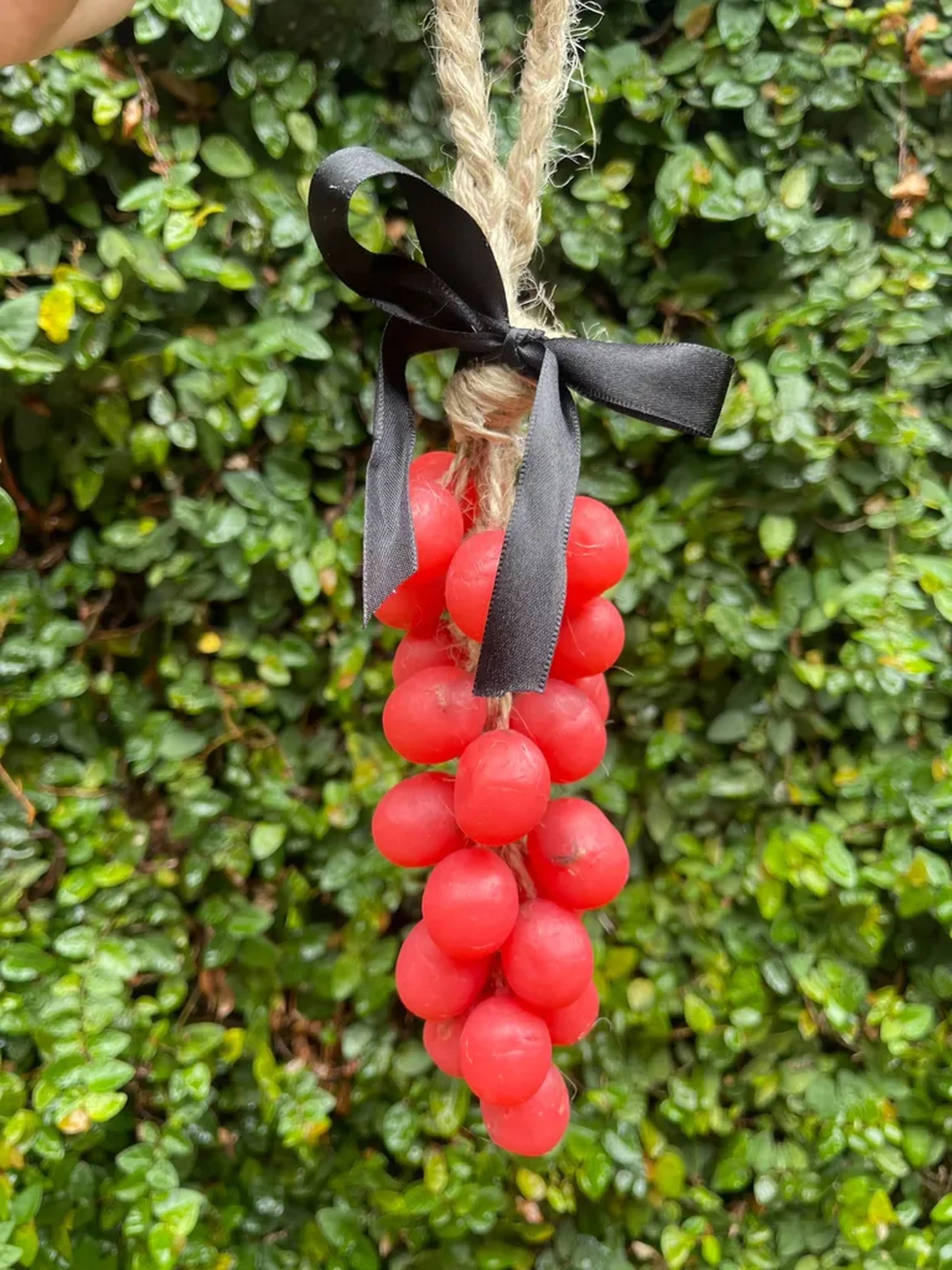 Cacho De Uva Vermelho imagem