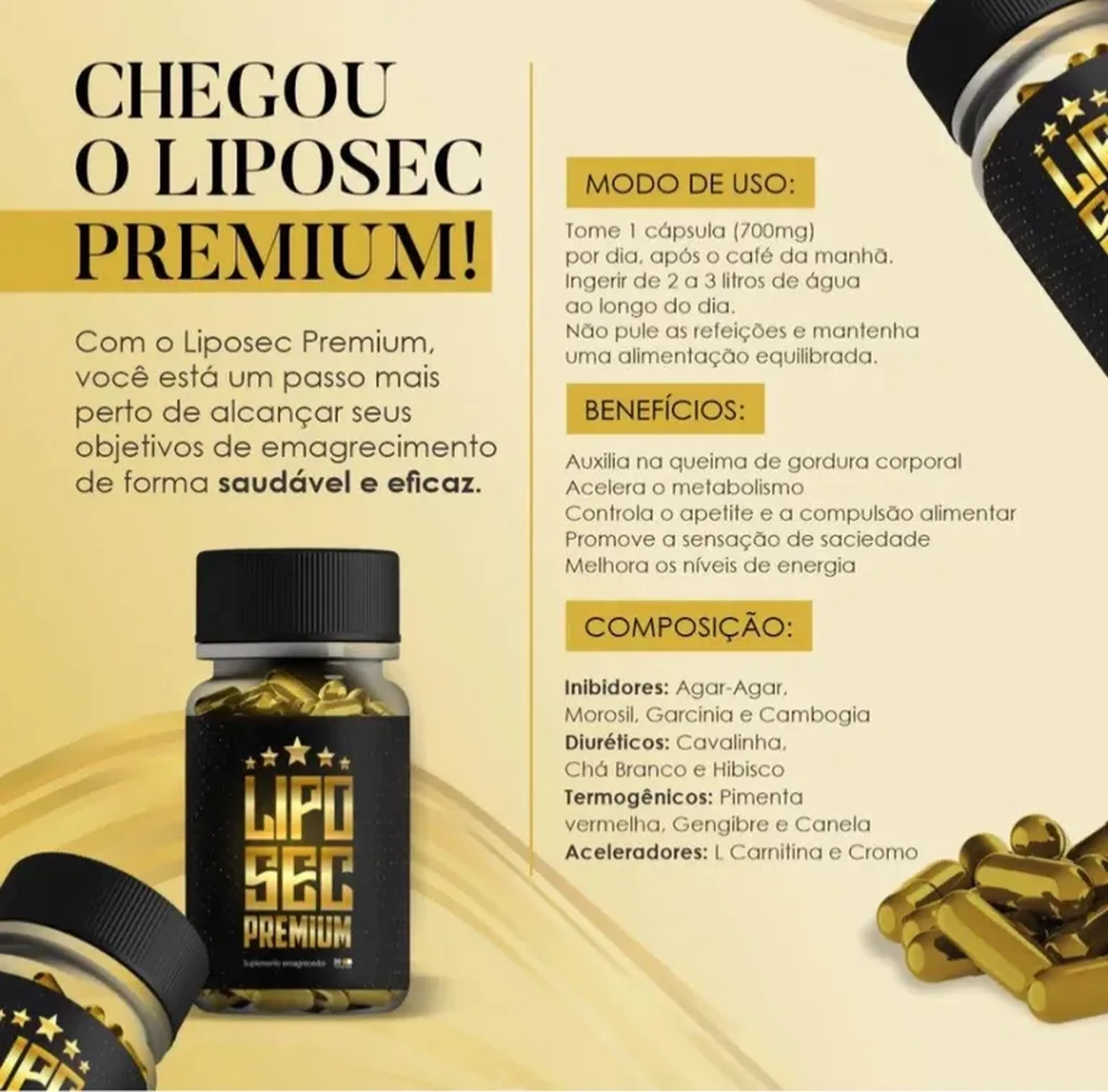 Liposec premium imagem