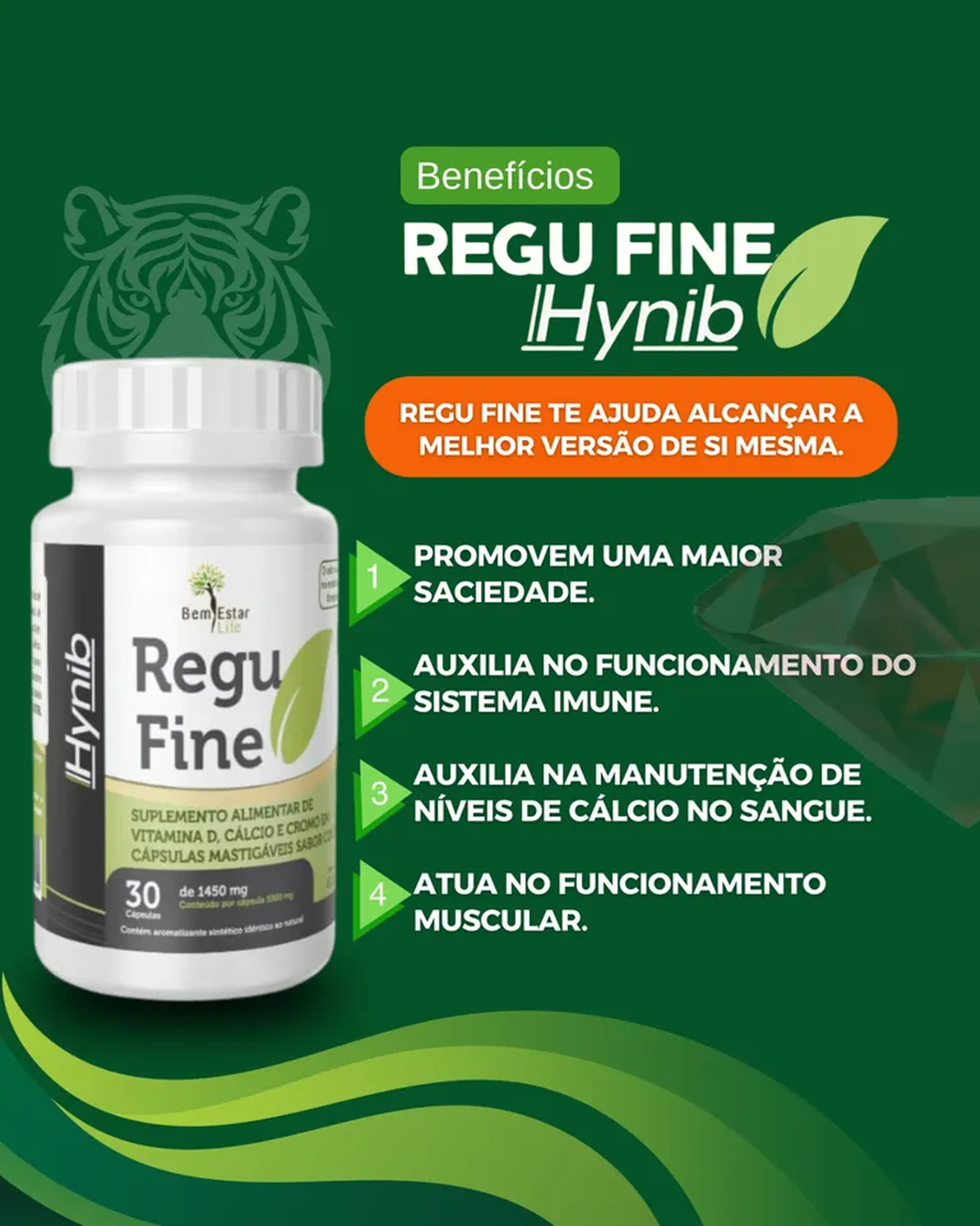 Regu Fine Hynib imagem