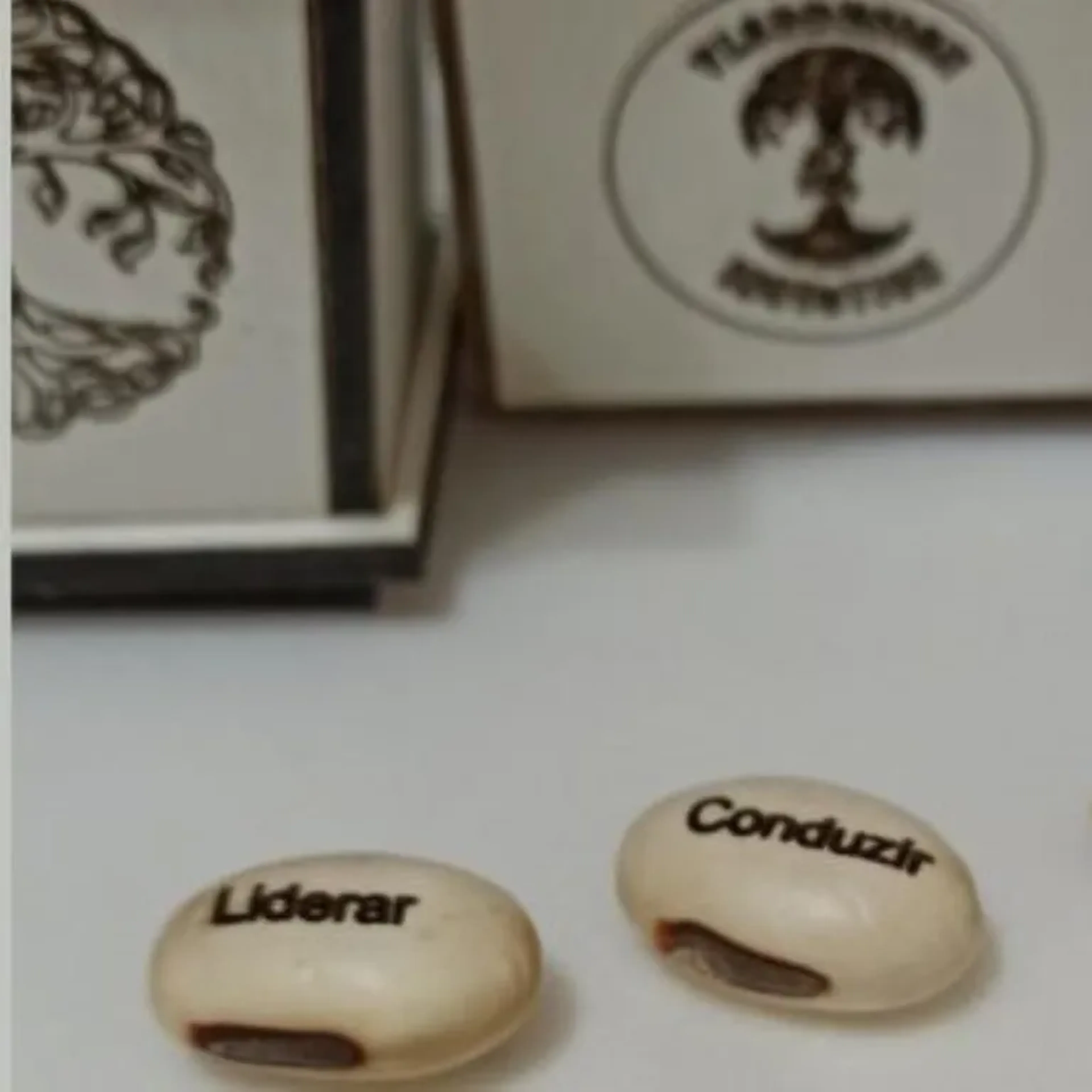 kit 10 Sementes Personalizada com Gravação a laser sem vaso imagem
