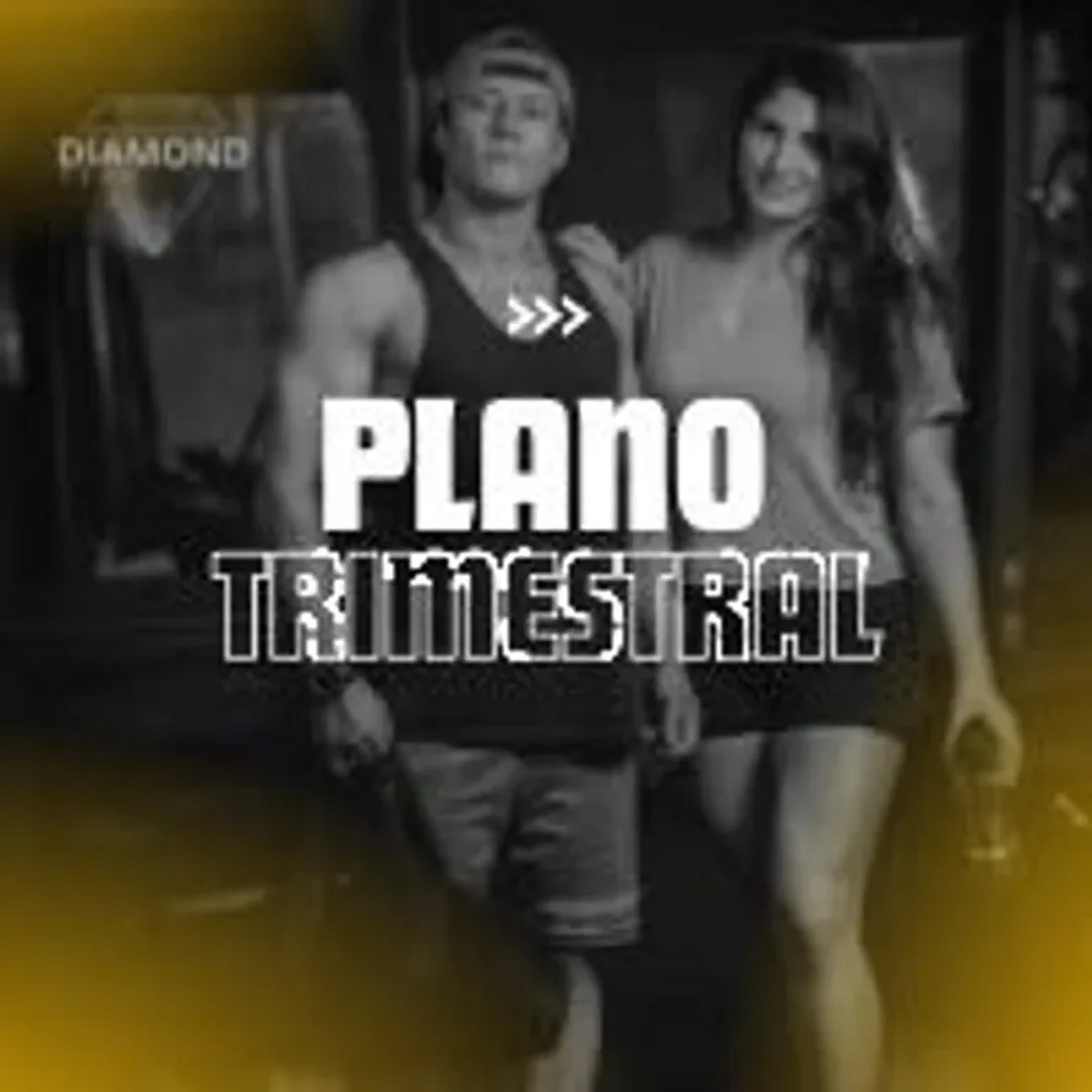 CONSULTORIA FITNESS ONLINE - PLANO TRIMESTRAL imagem