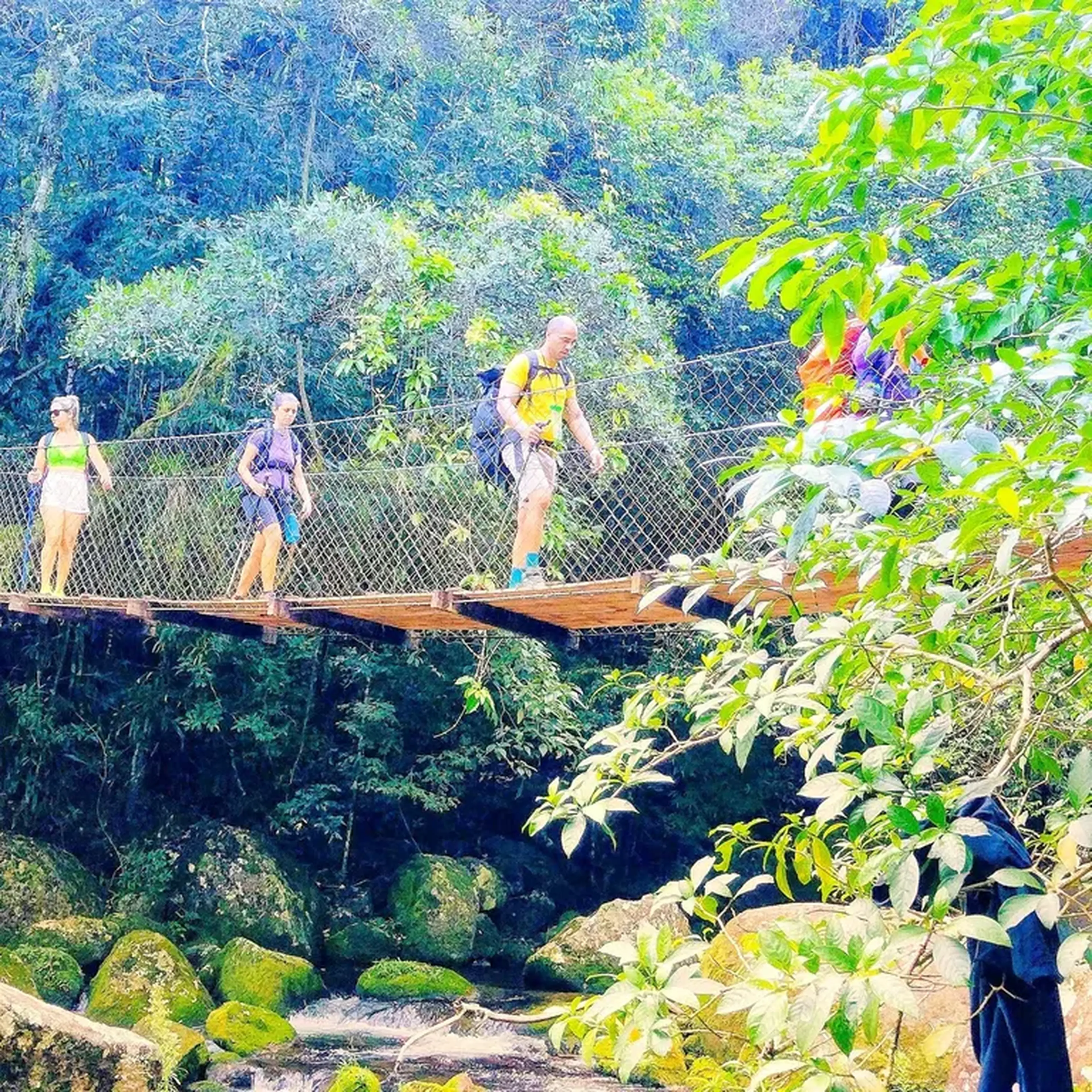 TRILHA DO BONETE EM ILHABELA imagem