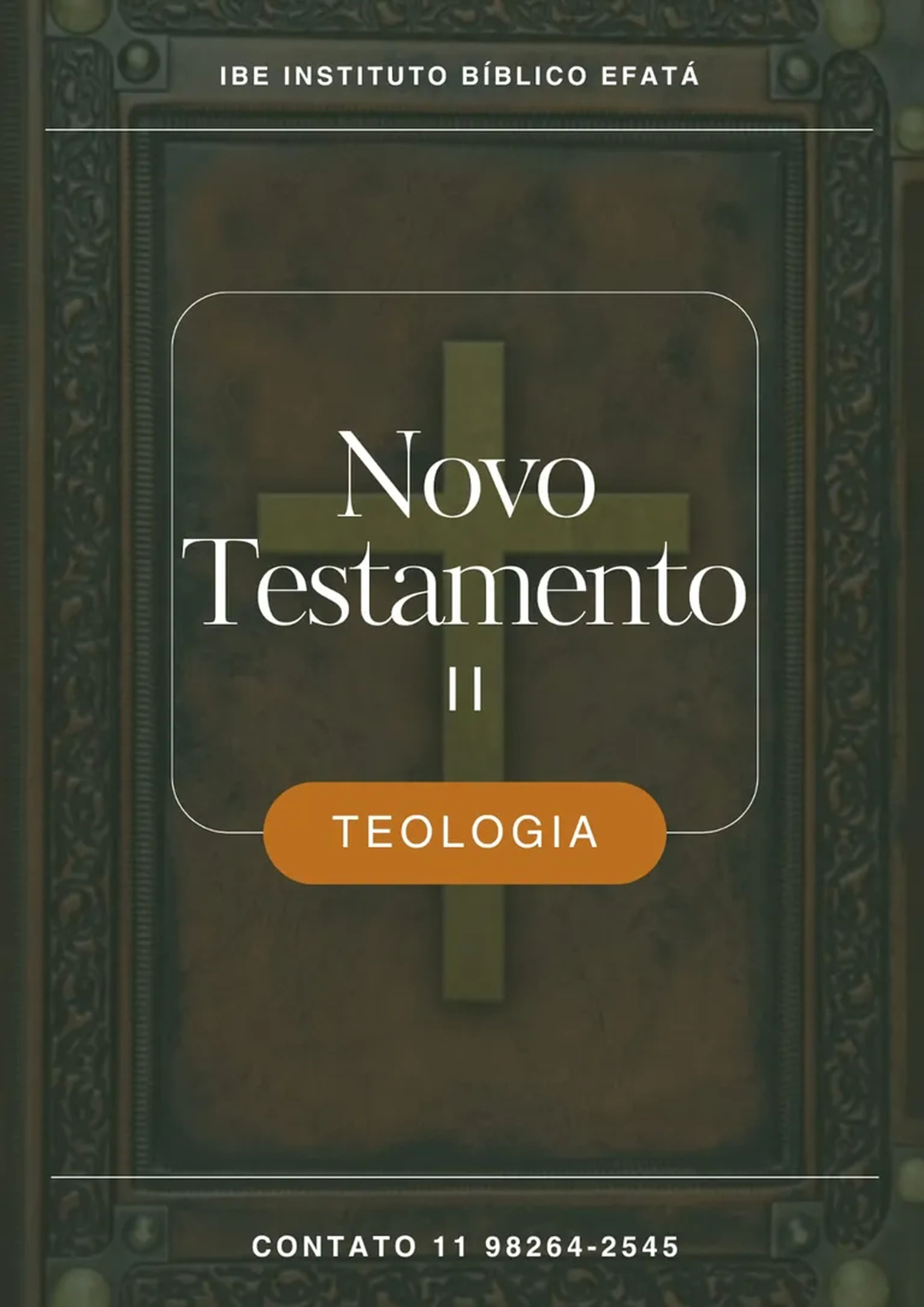 Teologia do Novo Testamento II (apostila) imagem