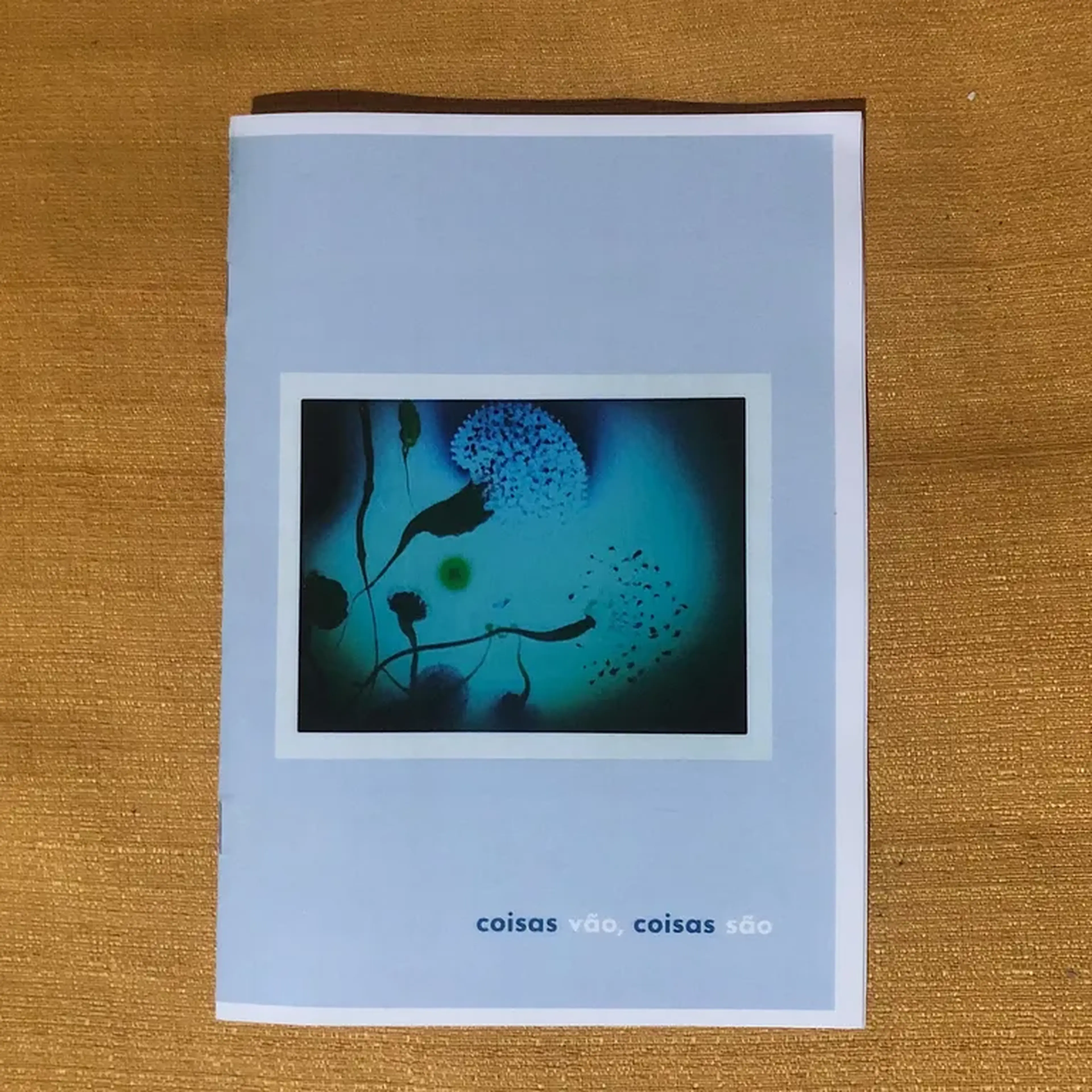 Coisas vão, coisas são (Fotozine) imagem