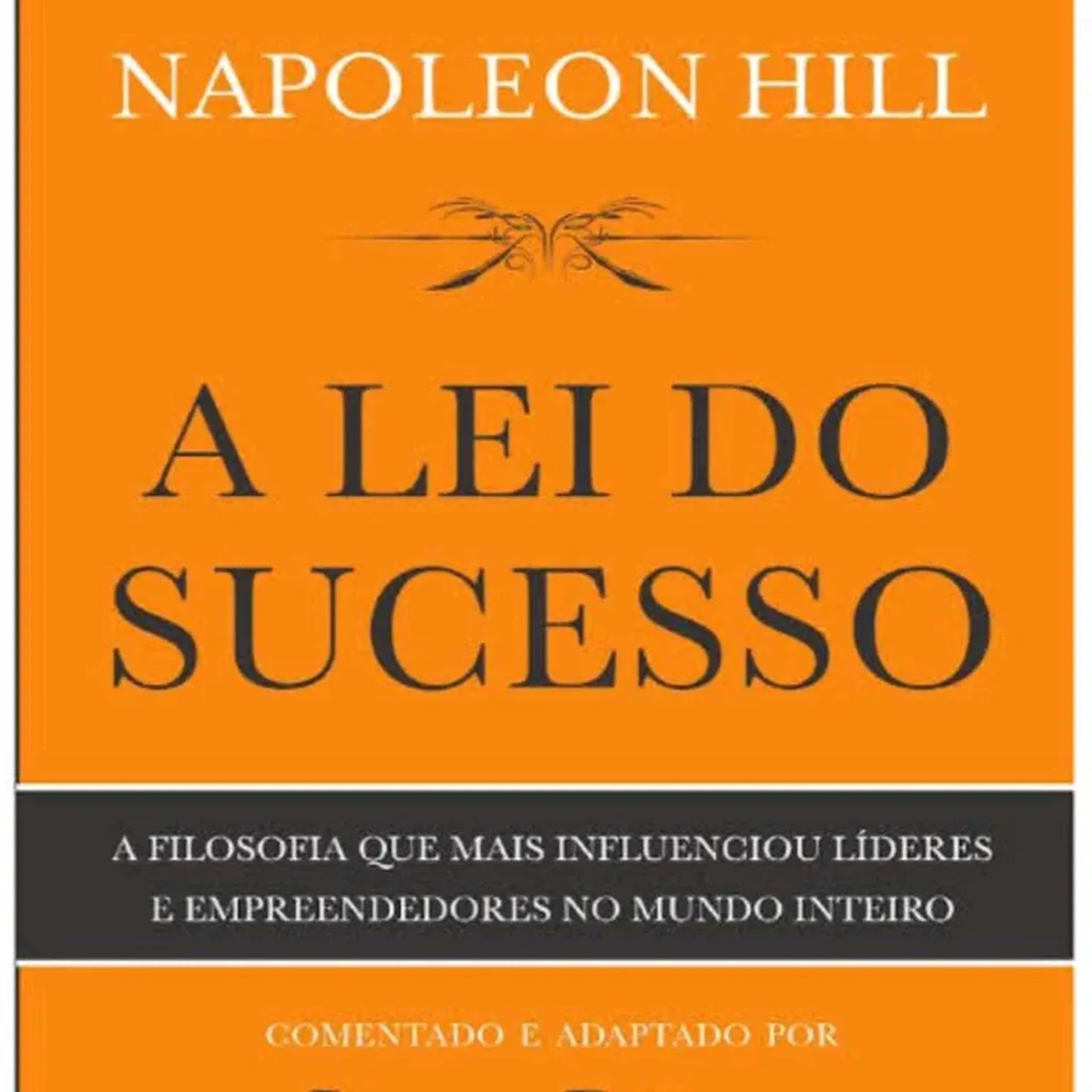 A lei do Sucesso - (PDF) imagem