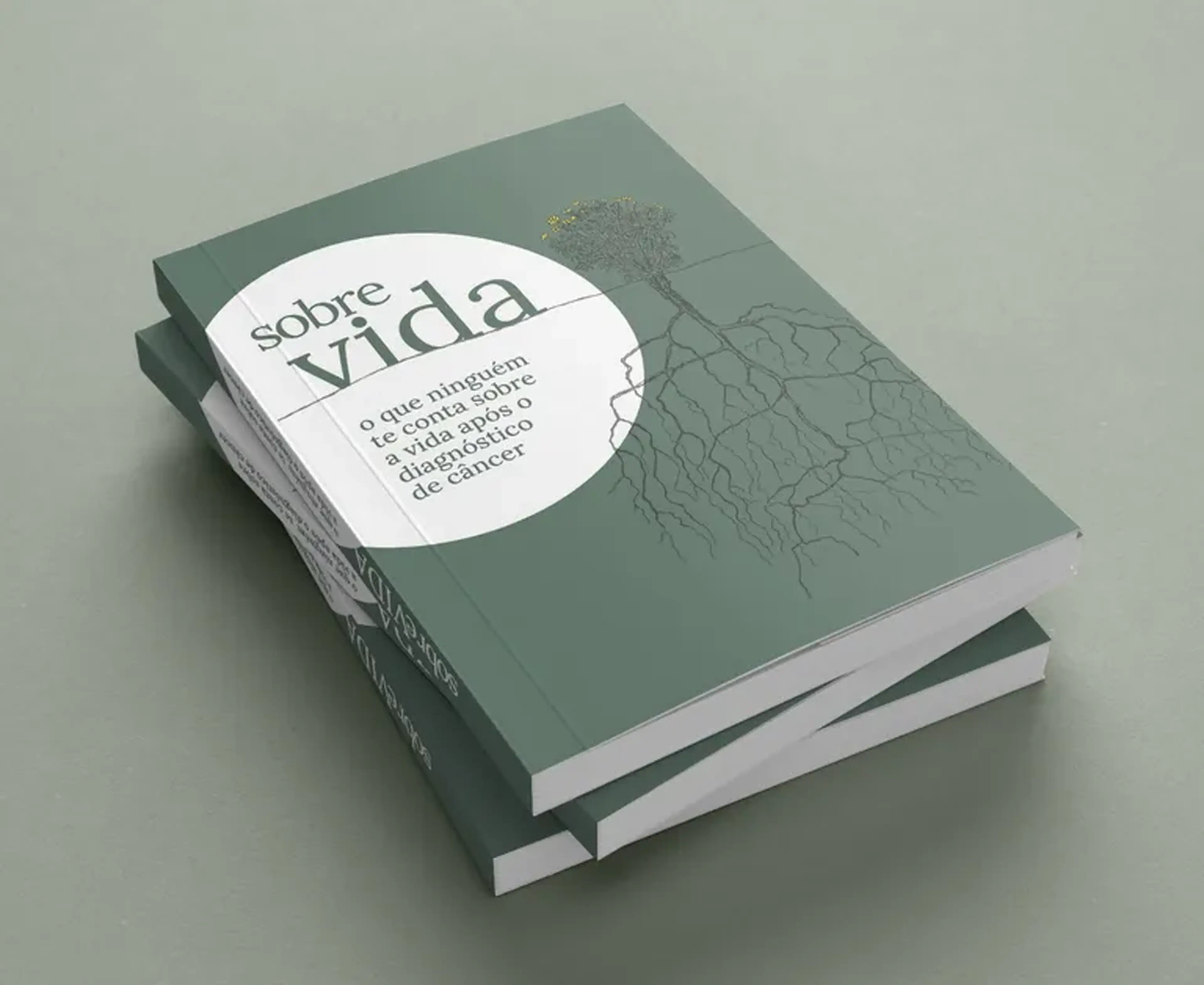 LIVRO SOBRE VIDA (MACEIO E MANAUS) - SEM FRETE imagem
