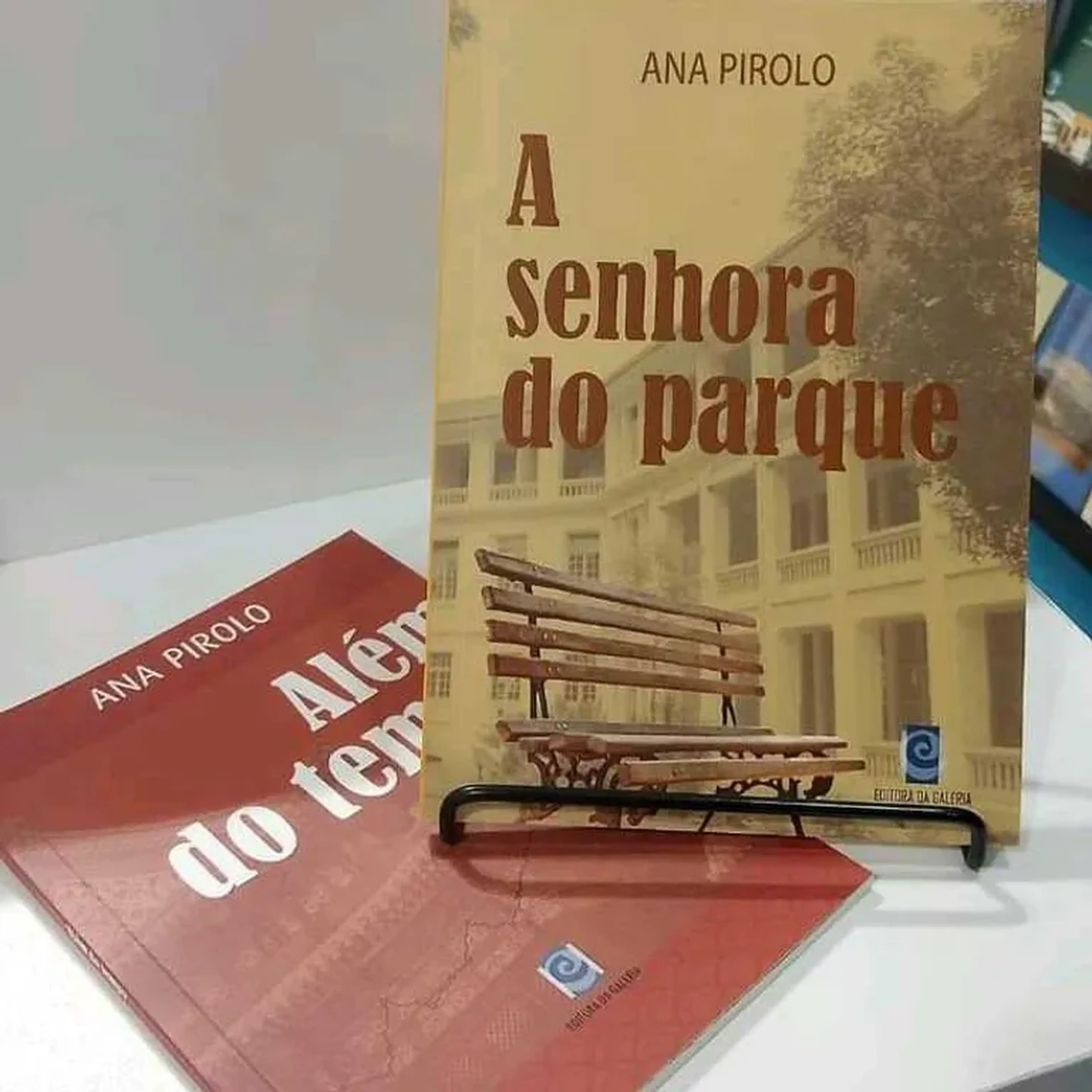 Kit livros A Senhora do Parque e Além do Tempo + FRETE imagem