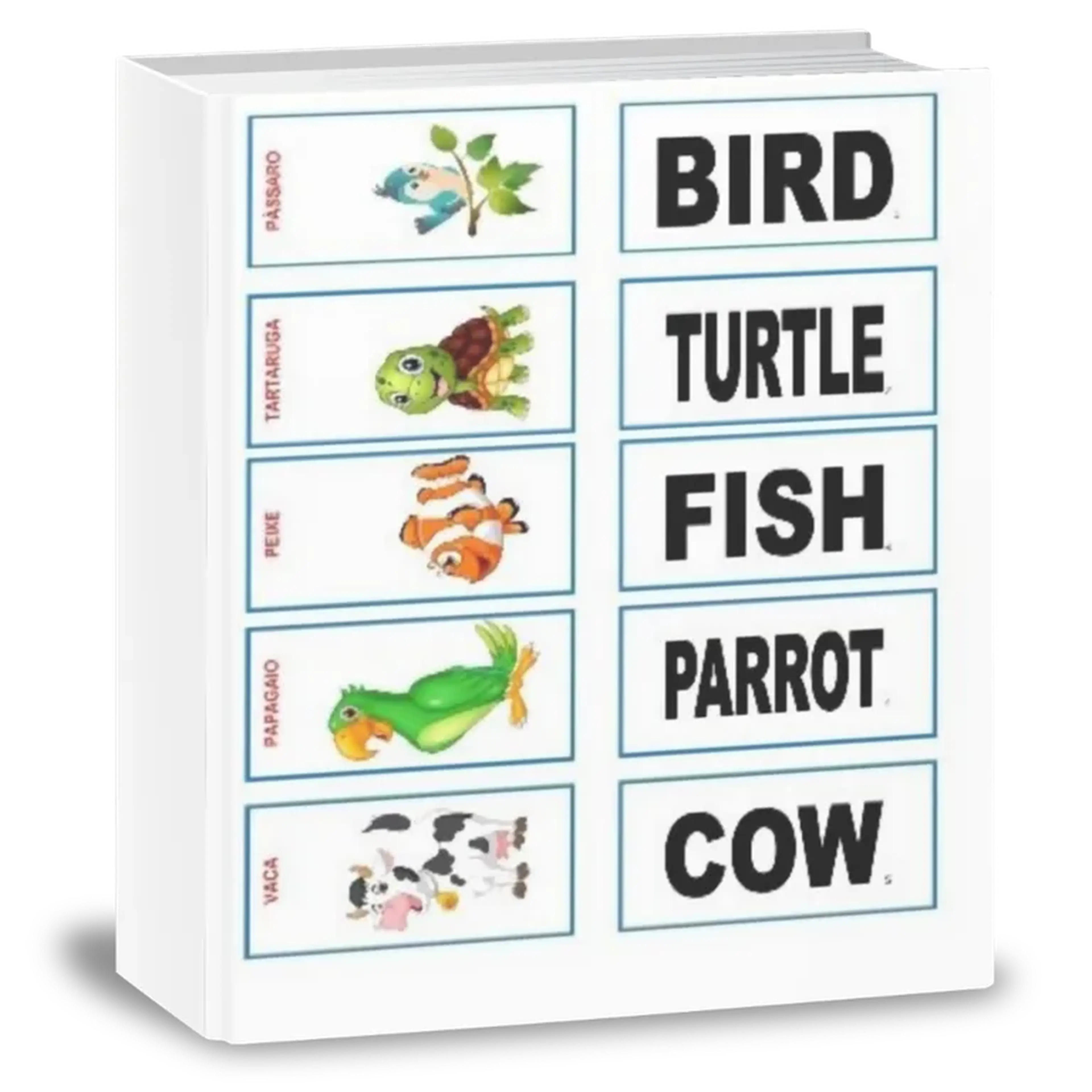 30 Flash Cards - ANIMAIS - INGLÊS - COLORIDO - PDF imagem