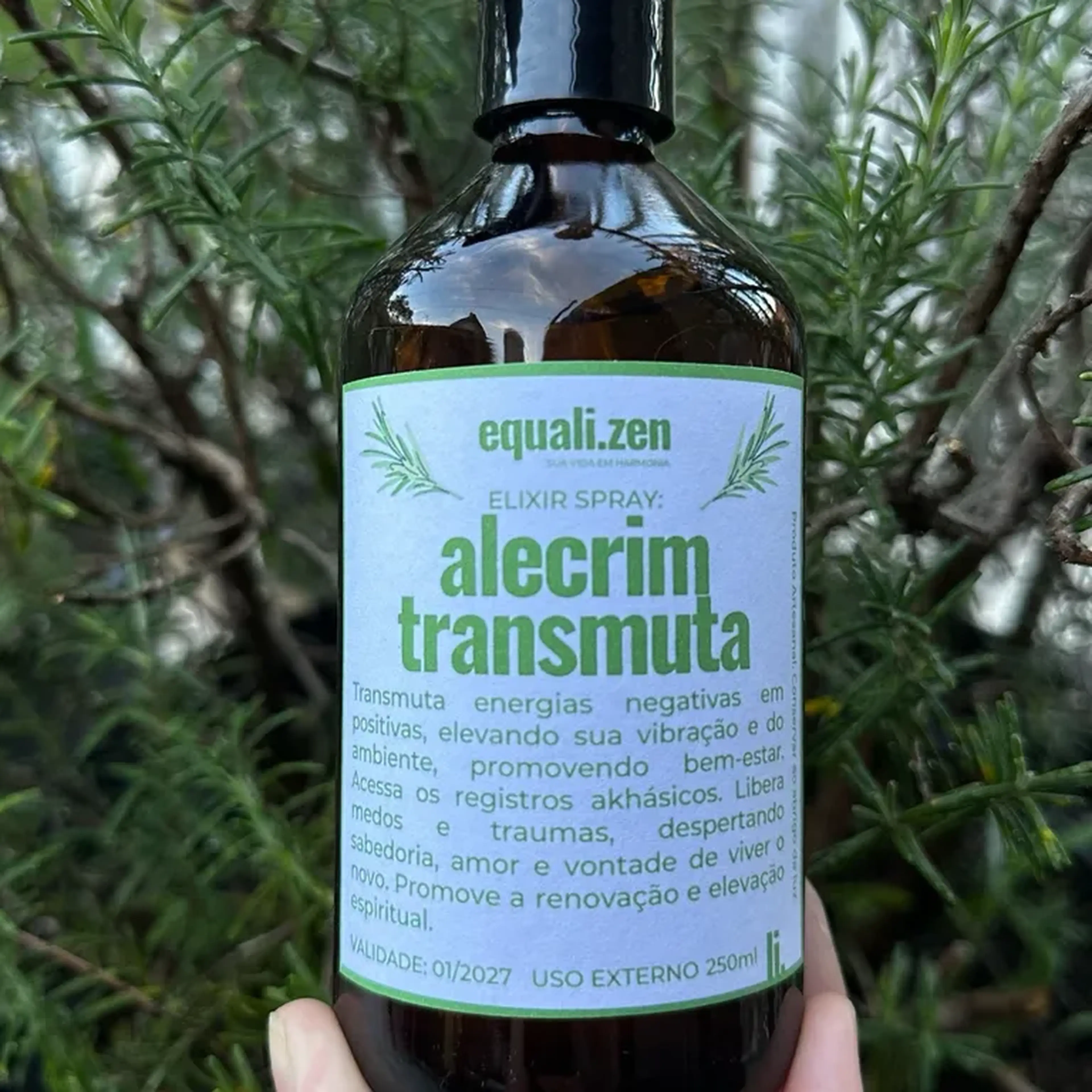 Elixir Spray de ALECRIM imagem