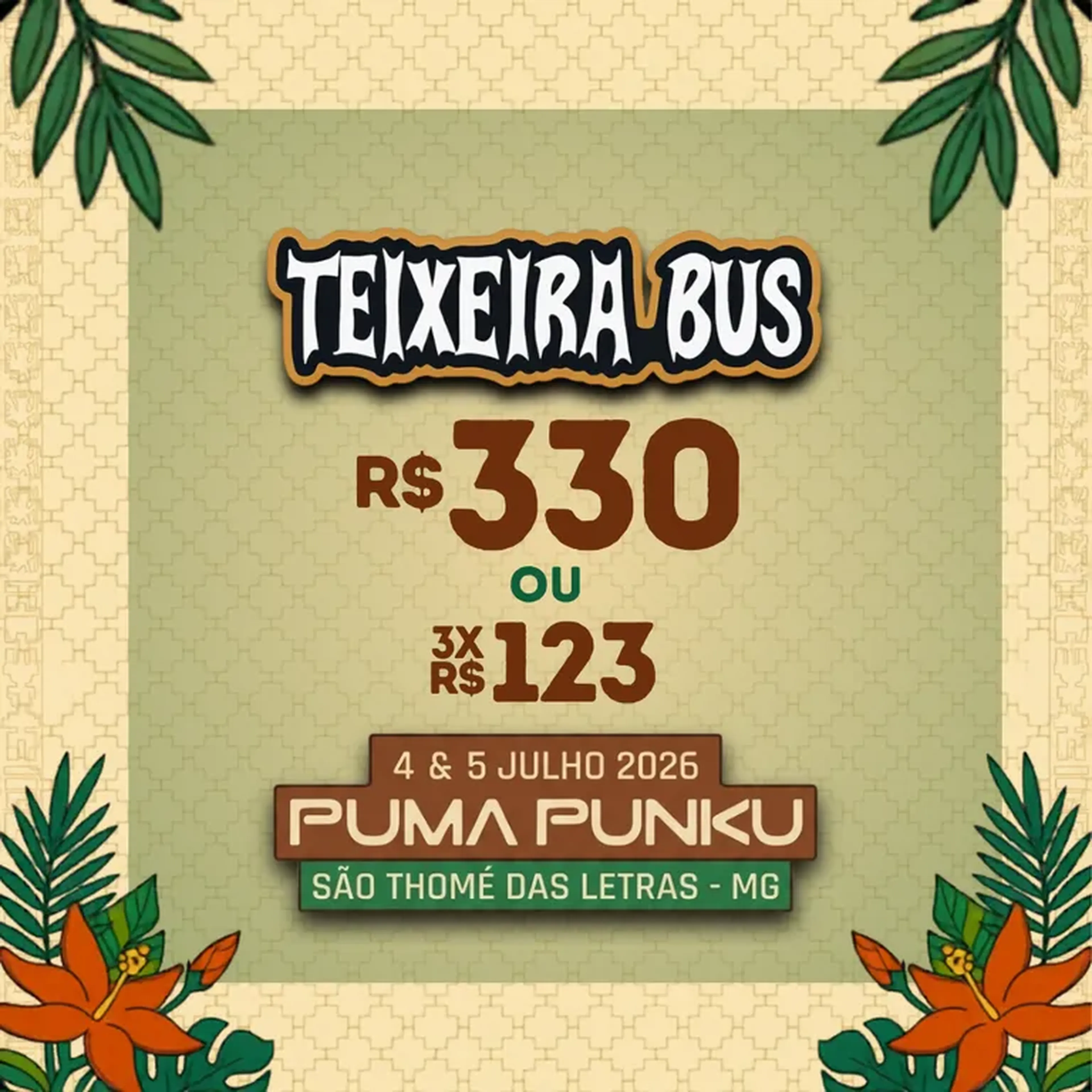 Transporte Puma Punko imagem