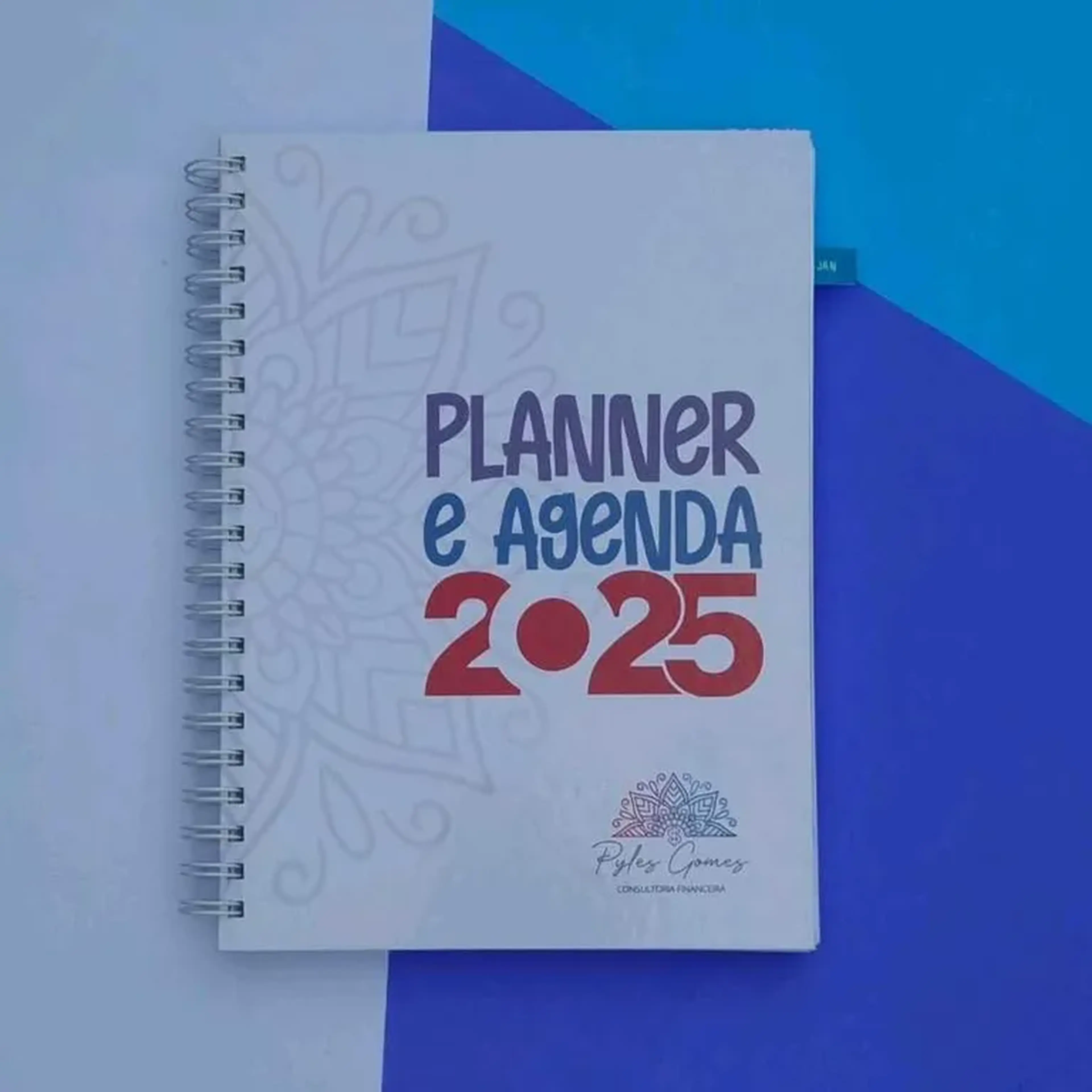 Planner PG FINANÇAS 2025 imagem