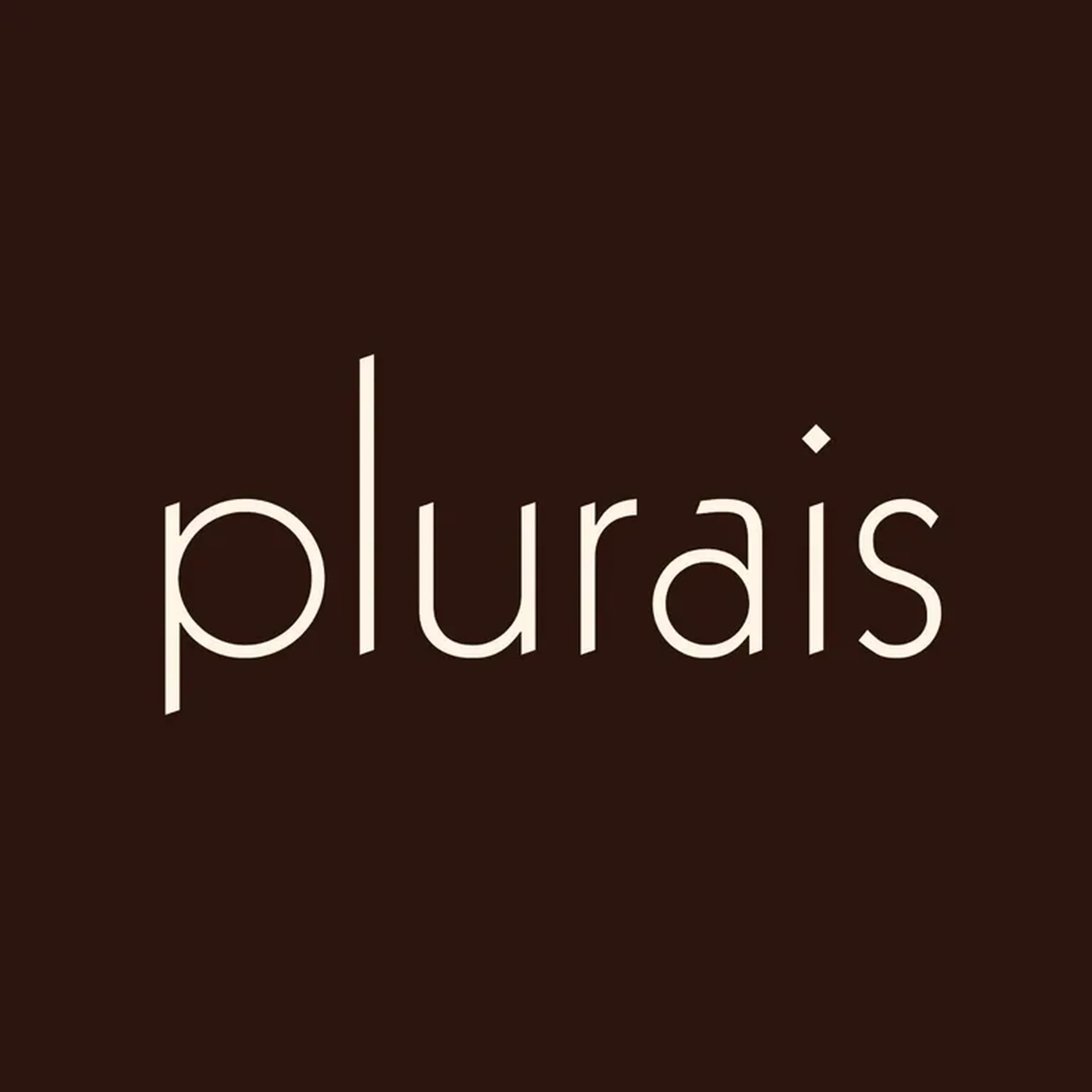 Encontro Plurais imagem