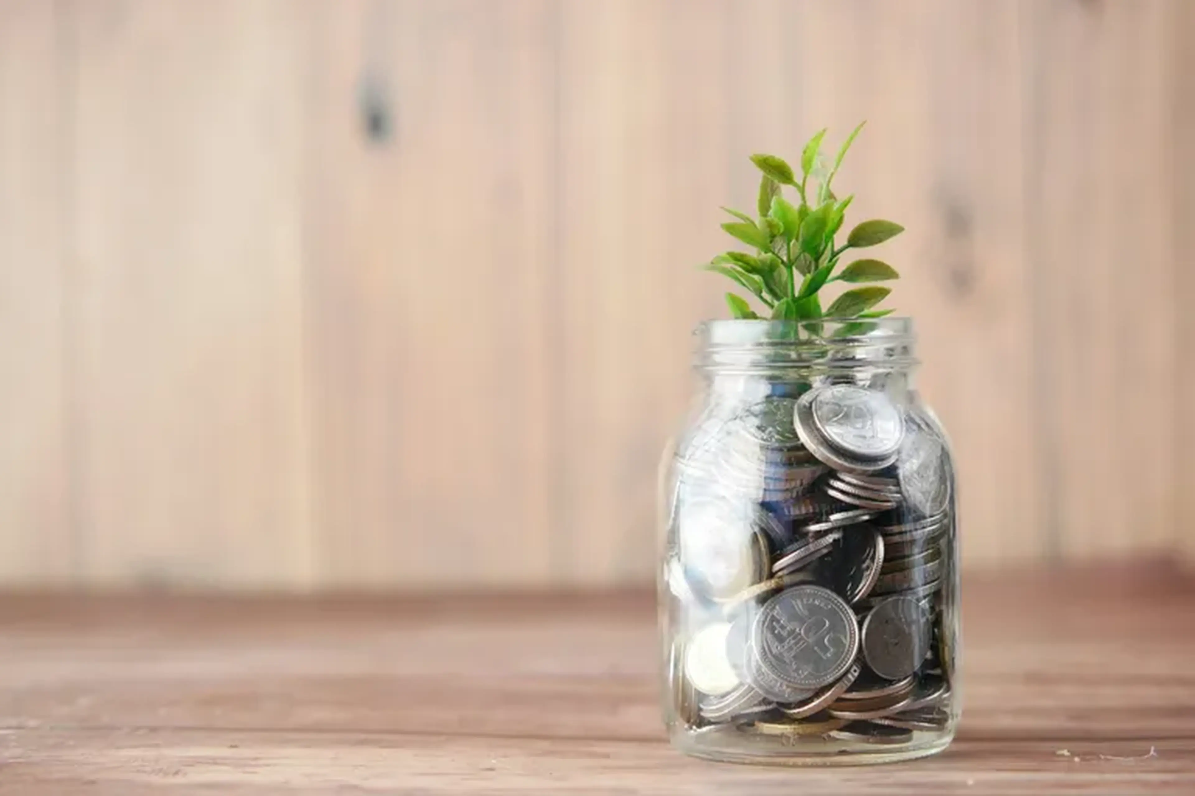 MENTORIA Investindo para a Paz Financeira imagem
