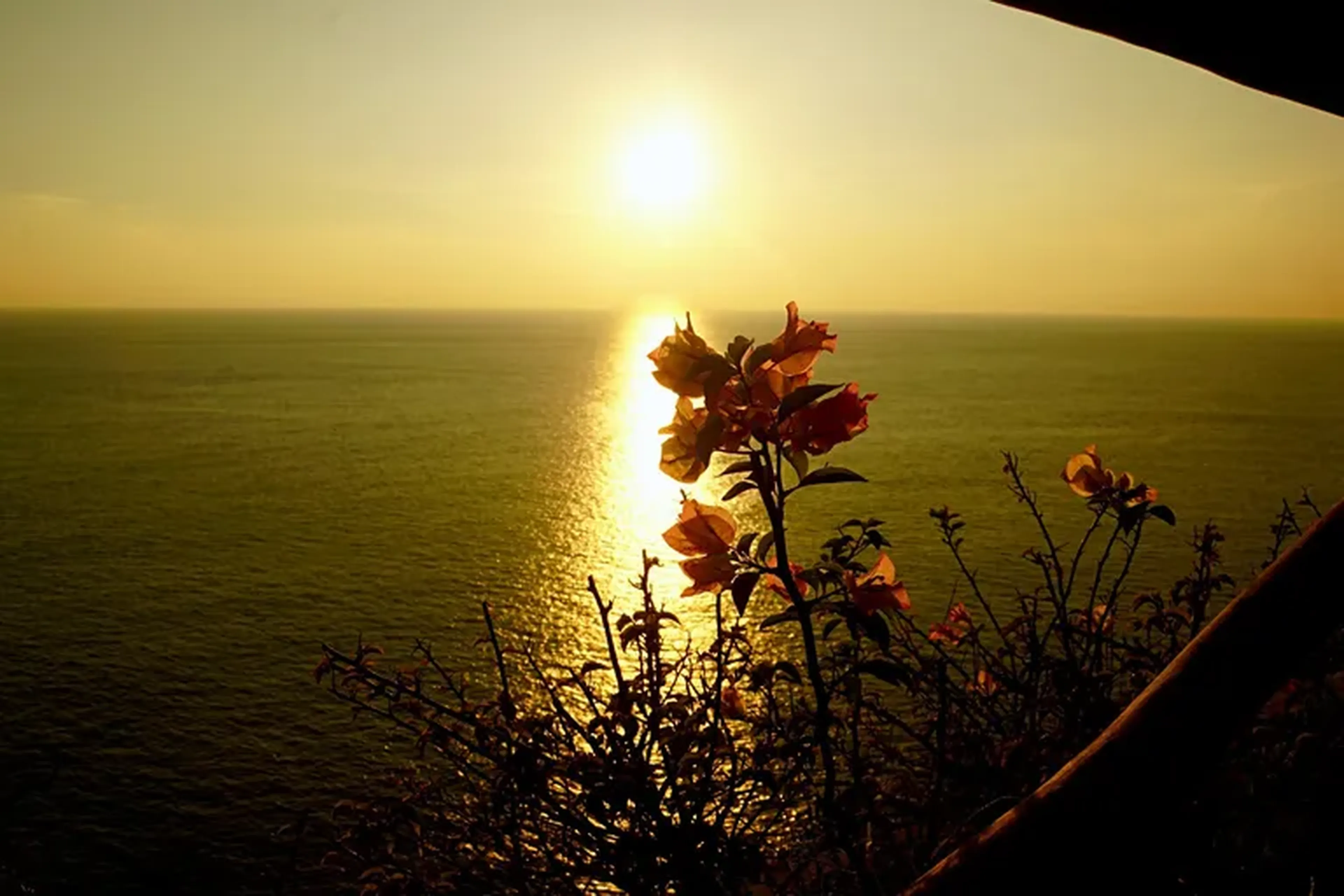 Incentivos de Longo Prazo (PRIS) imagem