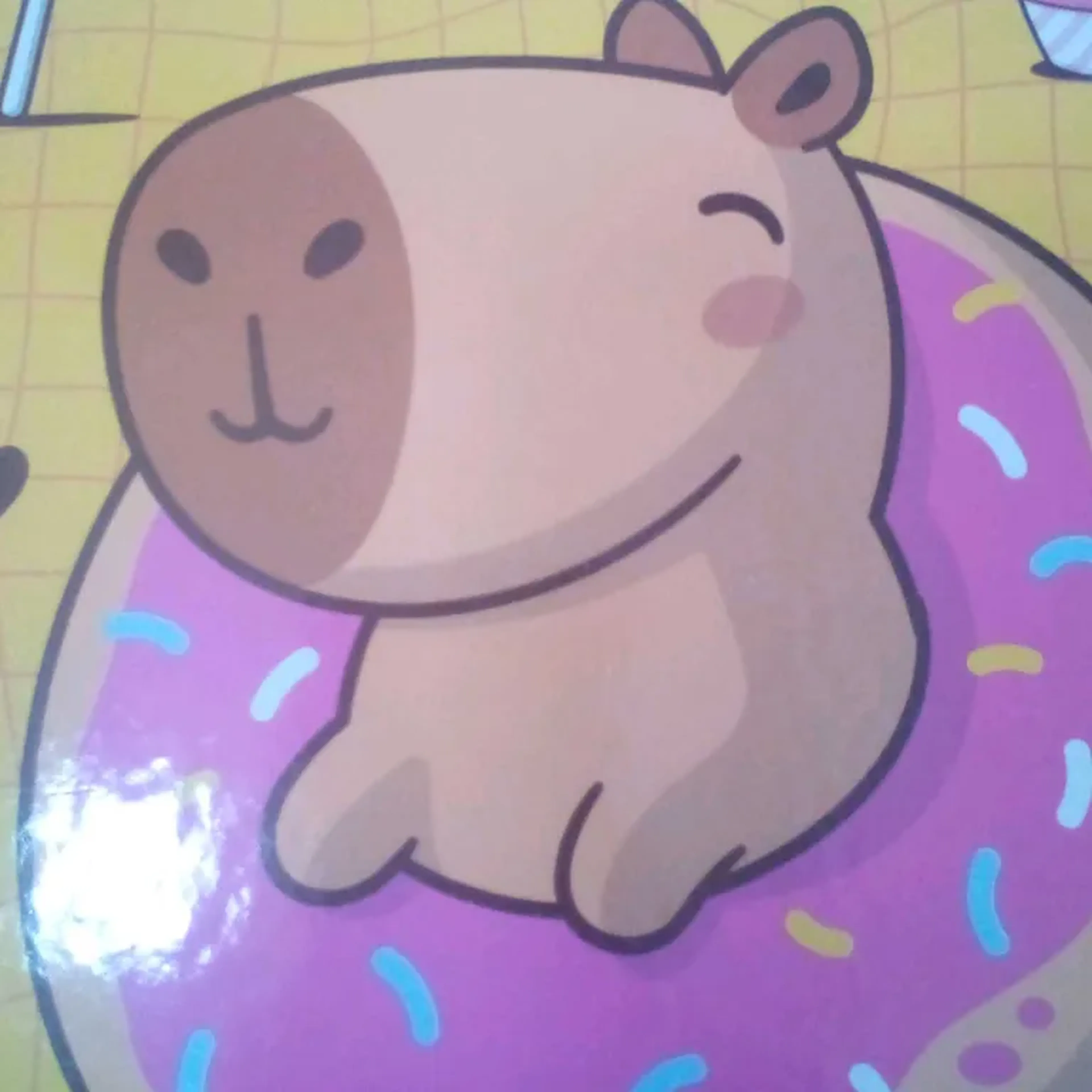 caderno brochurão capivara 80 folhas imagem