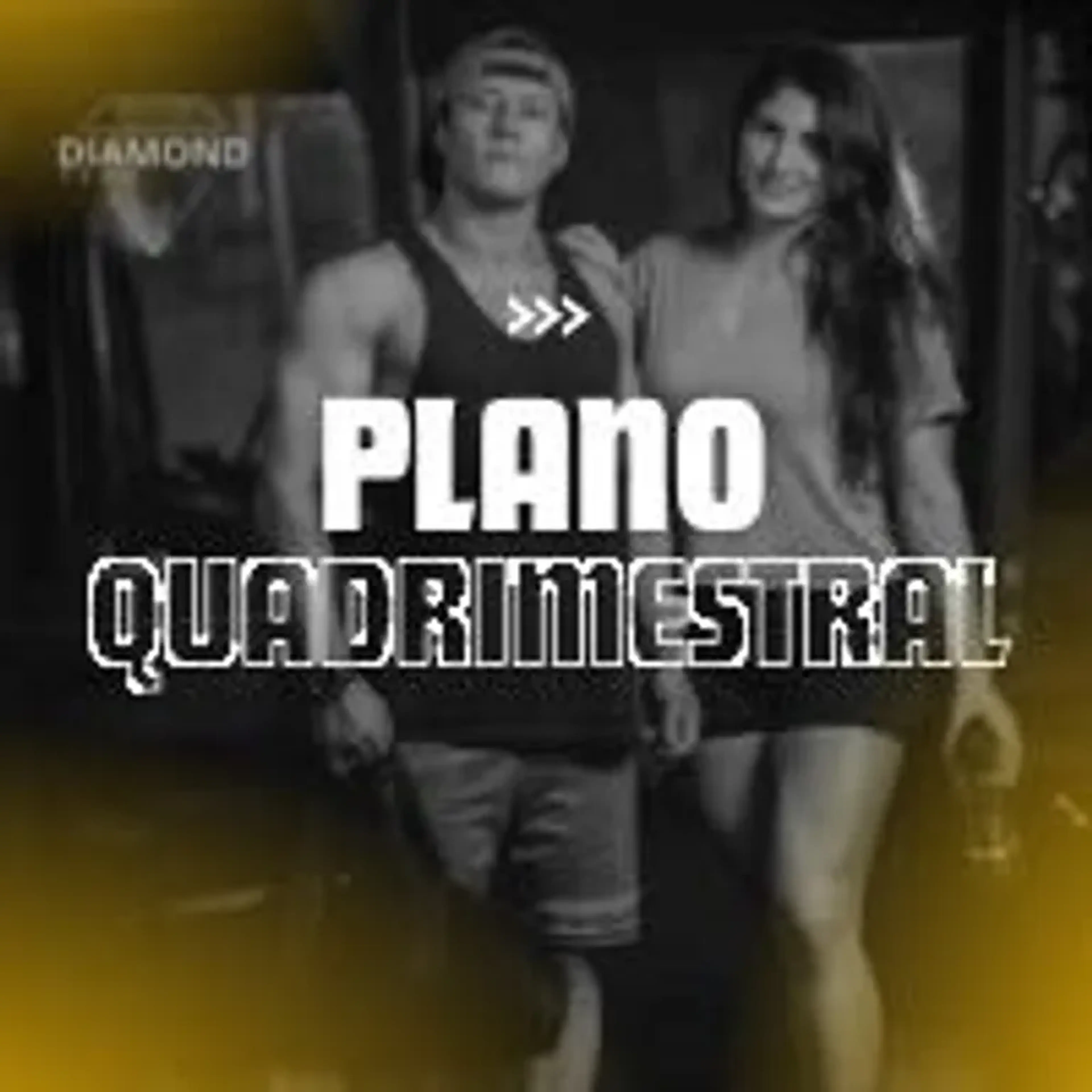 CONSULTORIA FITNESS ONLINE - PLANO QUADRIMESTRAL imagem