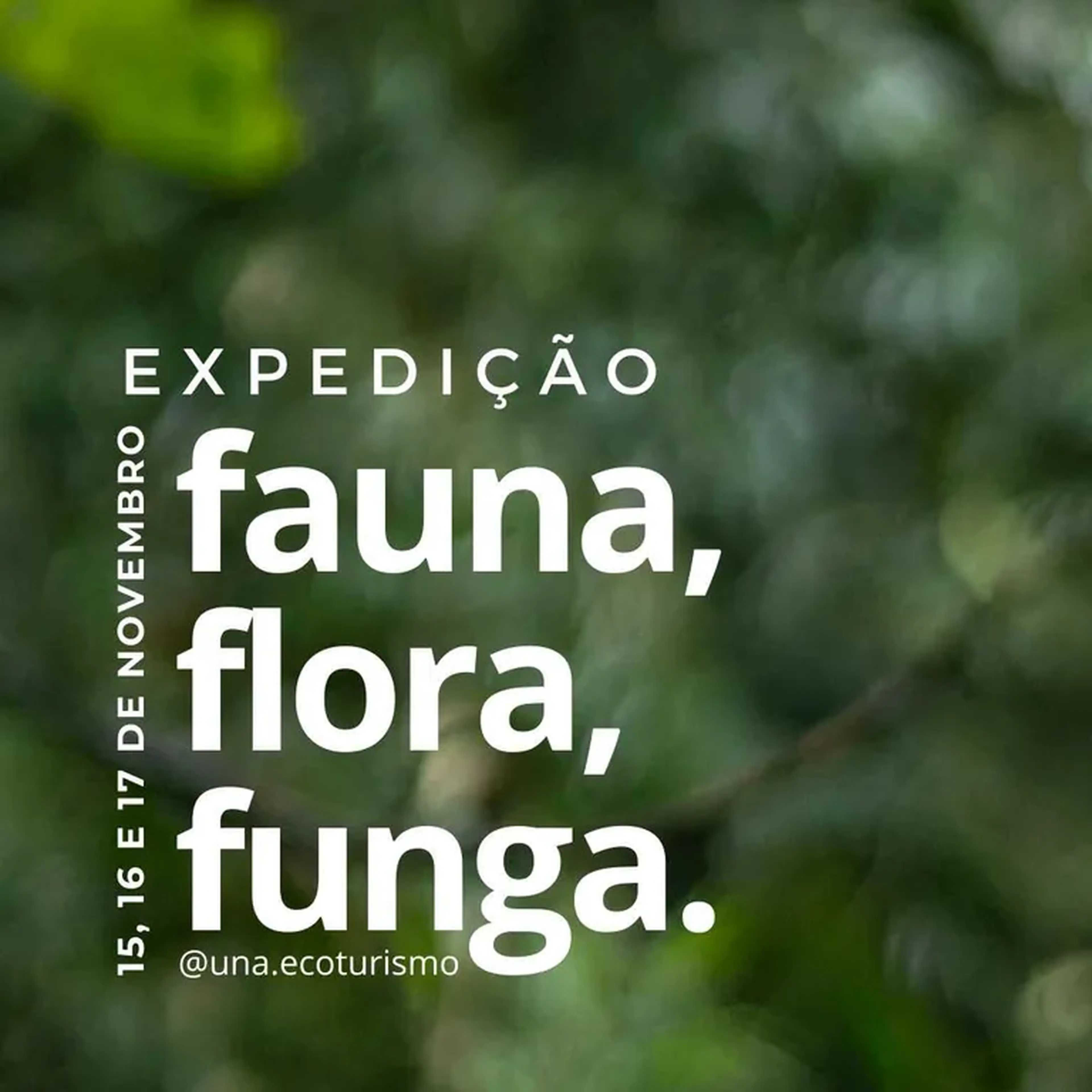 Expedição FAUNA, FLORA e FUNGA - UNA Ecoturismo imagem