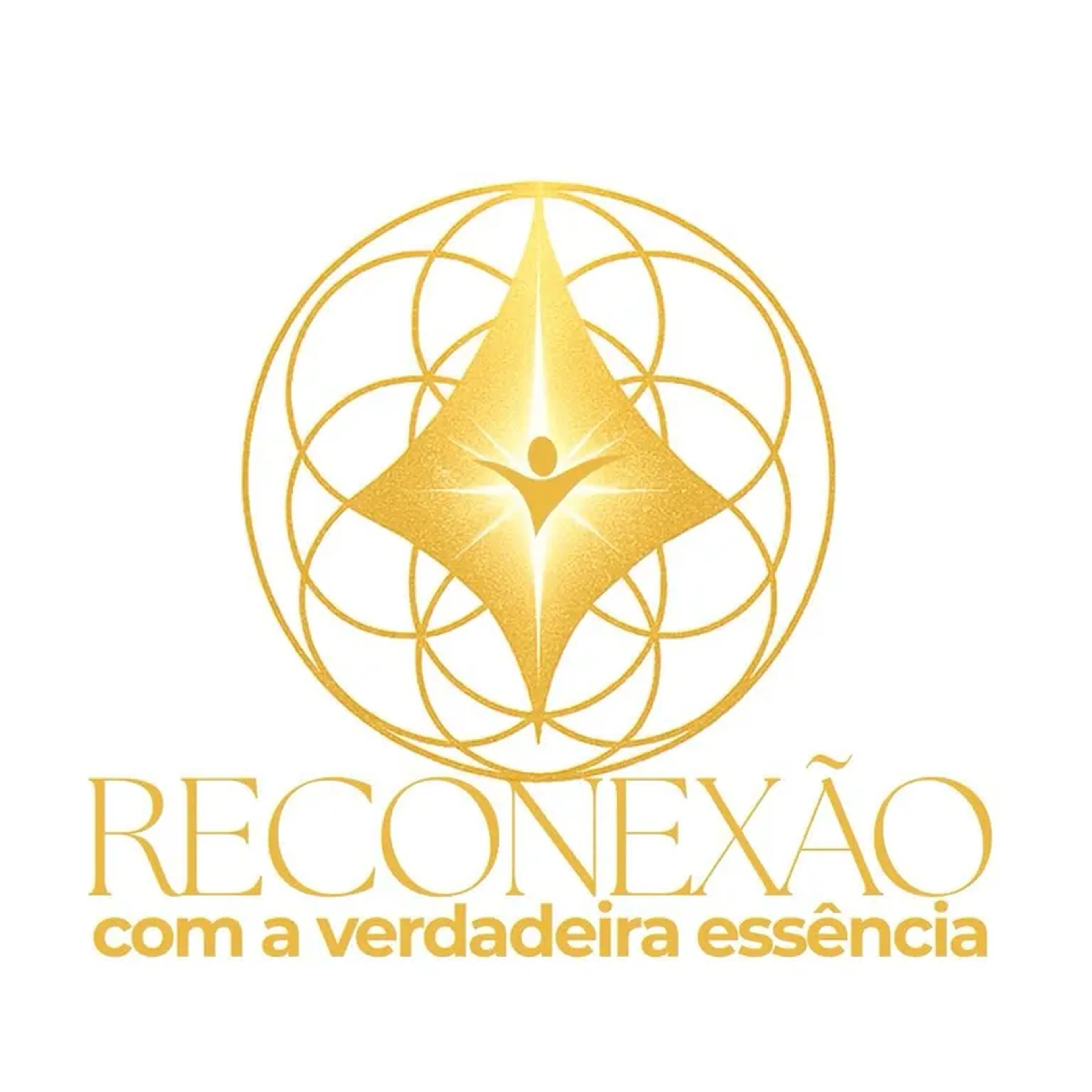 Sessão Reconexão - Frequência Inteligente imagem