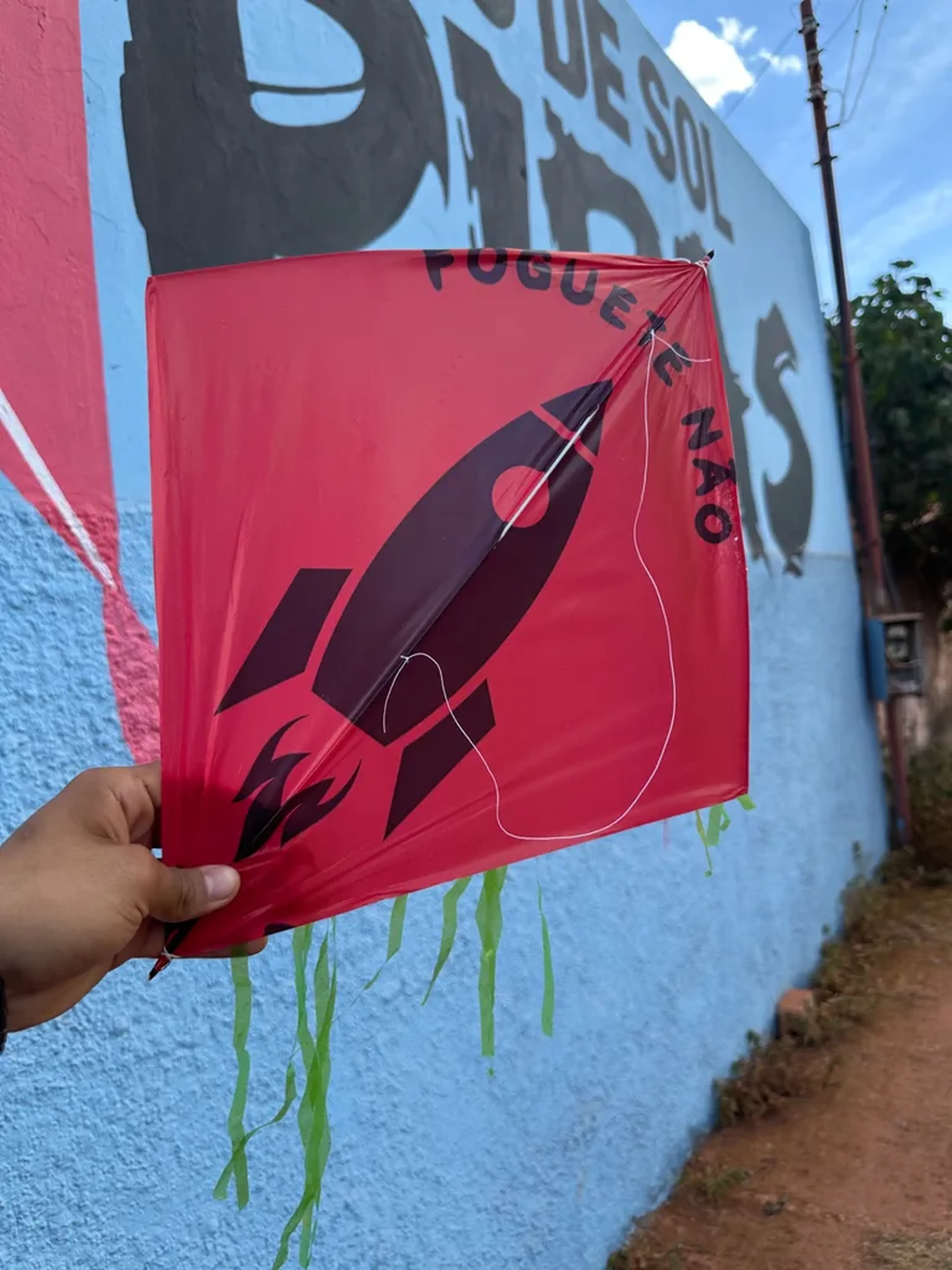 10 PIPA FLECHINHA (COM RABIOLA E CABRESTO) imagem