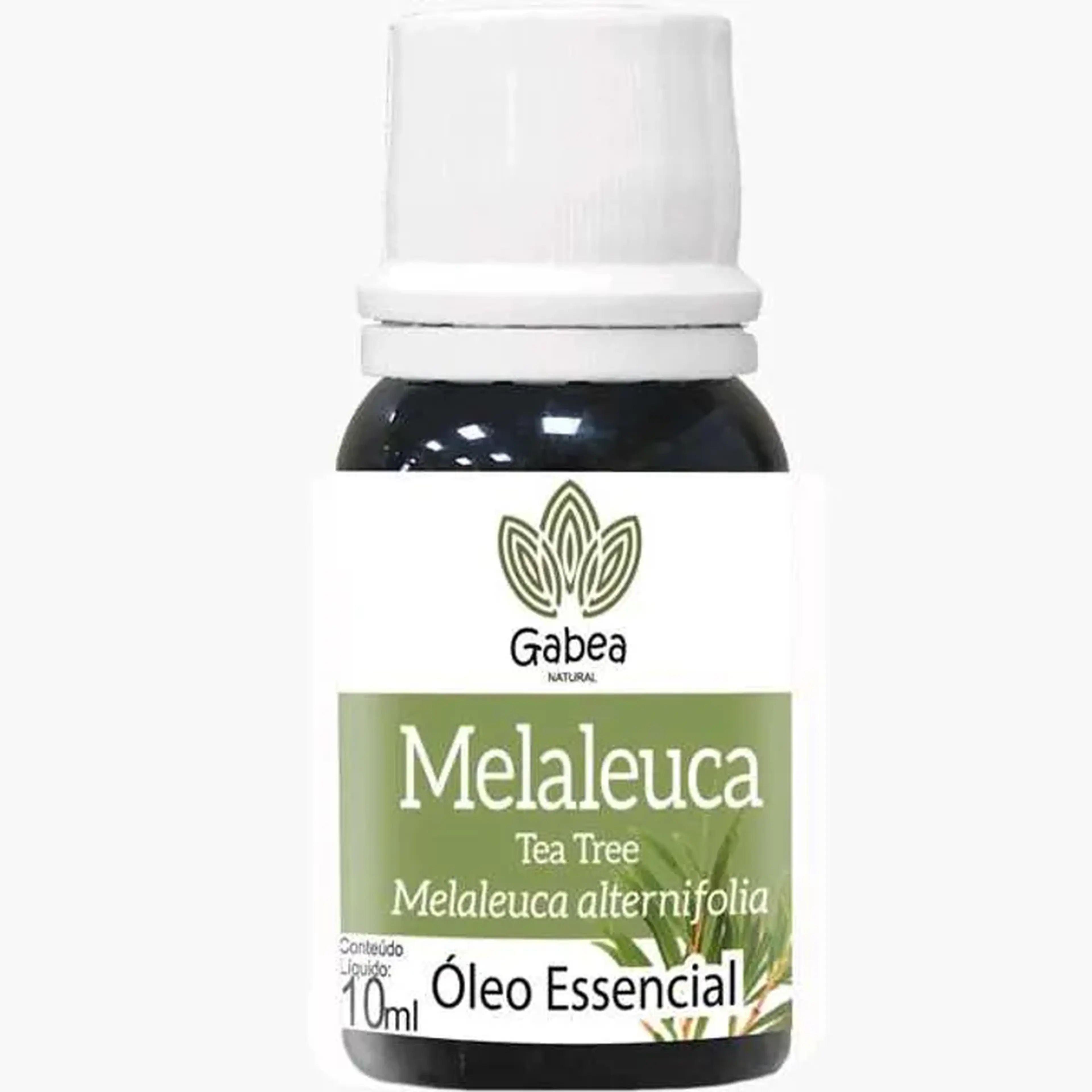 Melaleuca - Tea Tree imagem