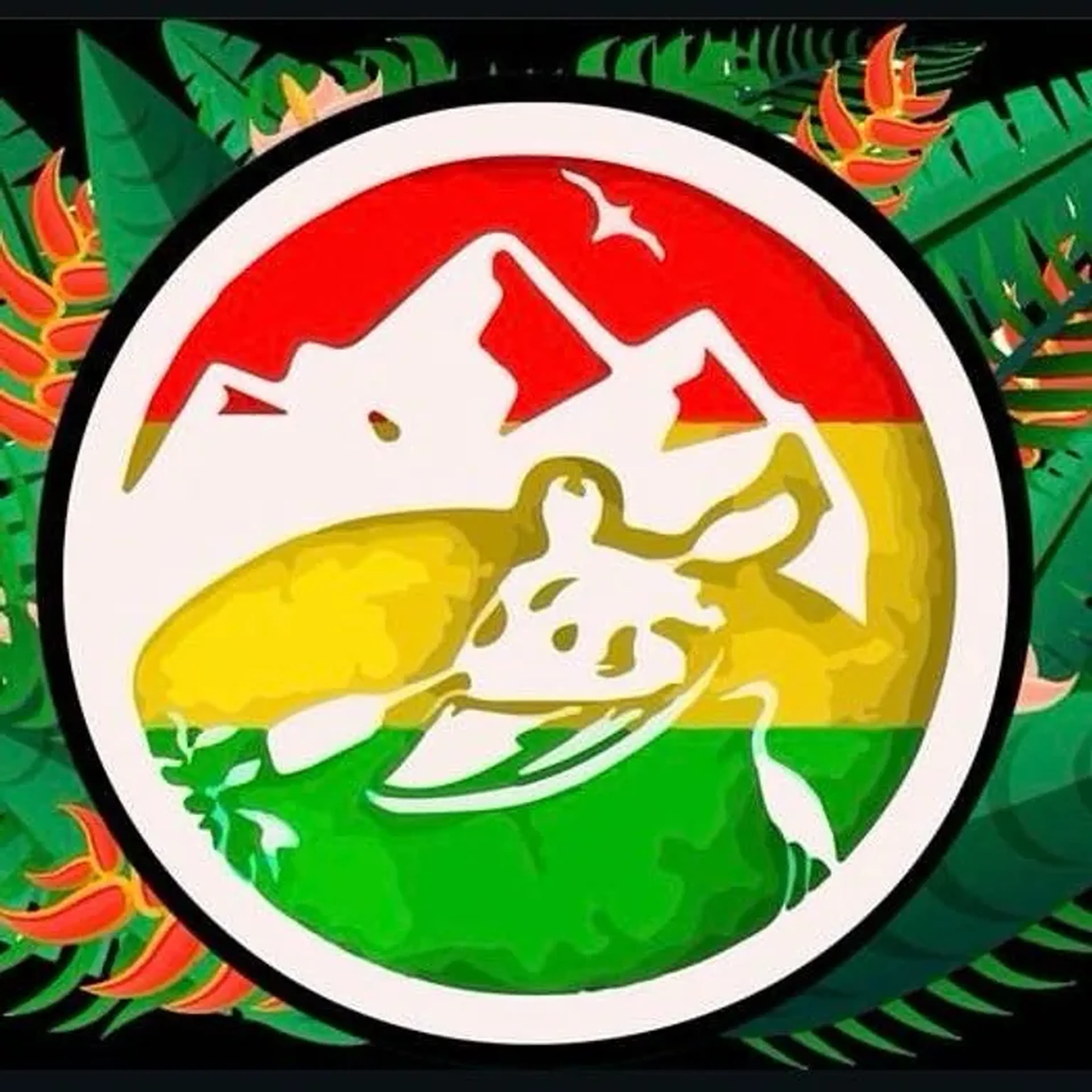 EXPEDIÇÃO ANTONINA ADVENTURE imagem