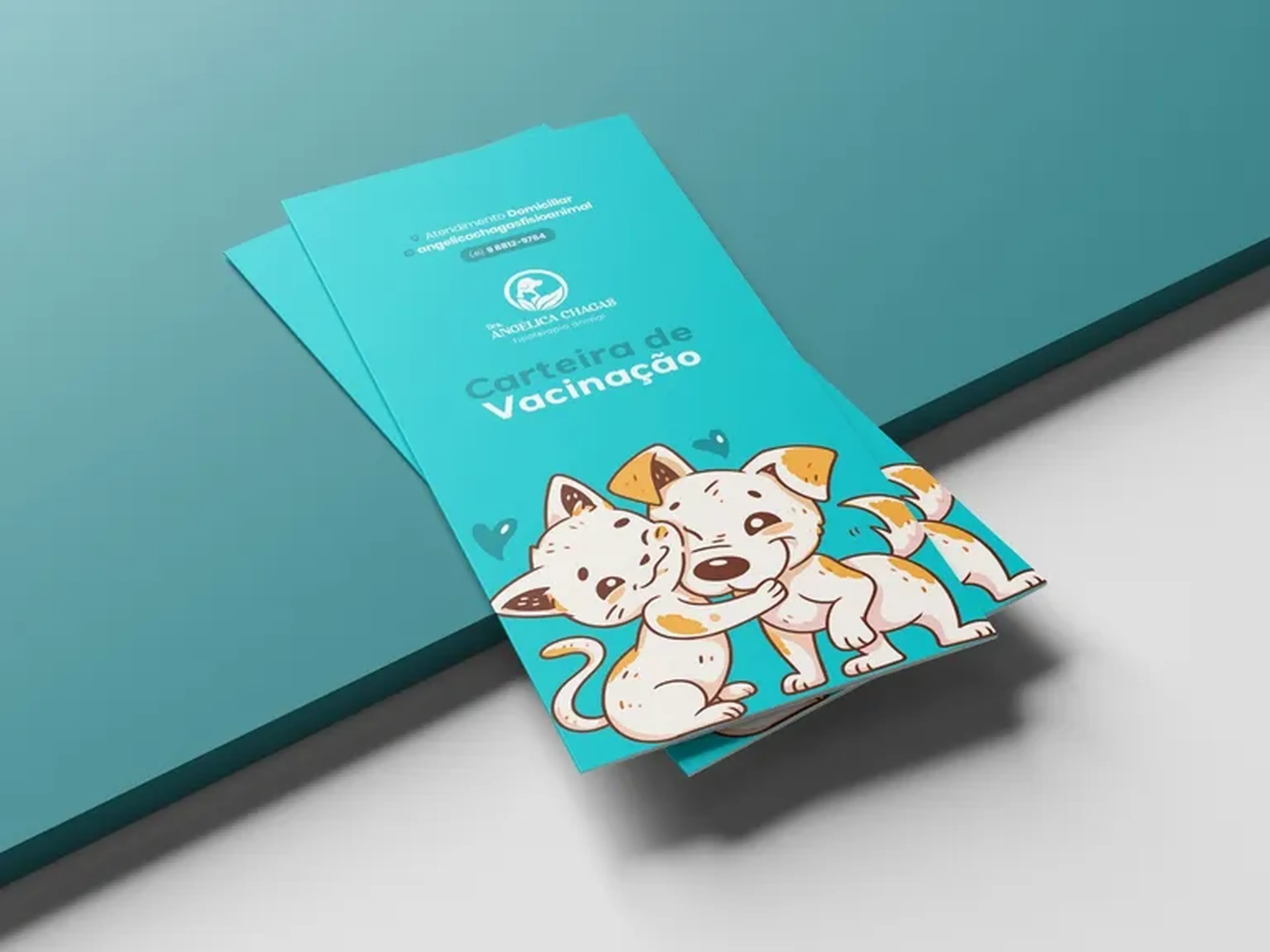 Carteira de Vacinação Folder imagem