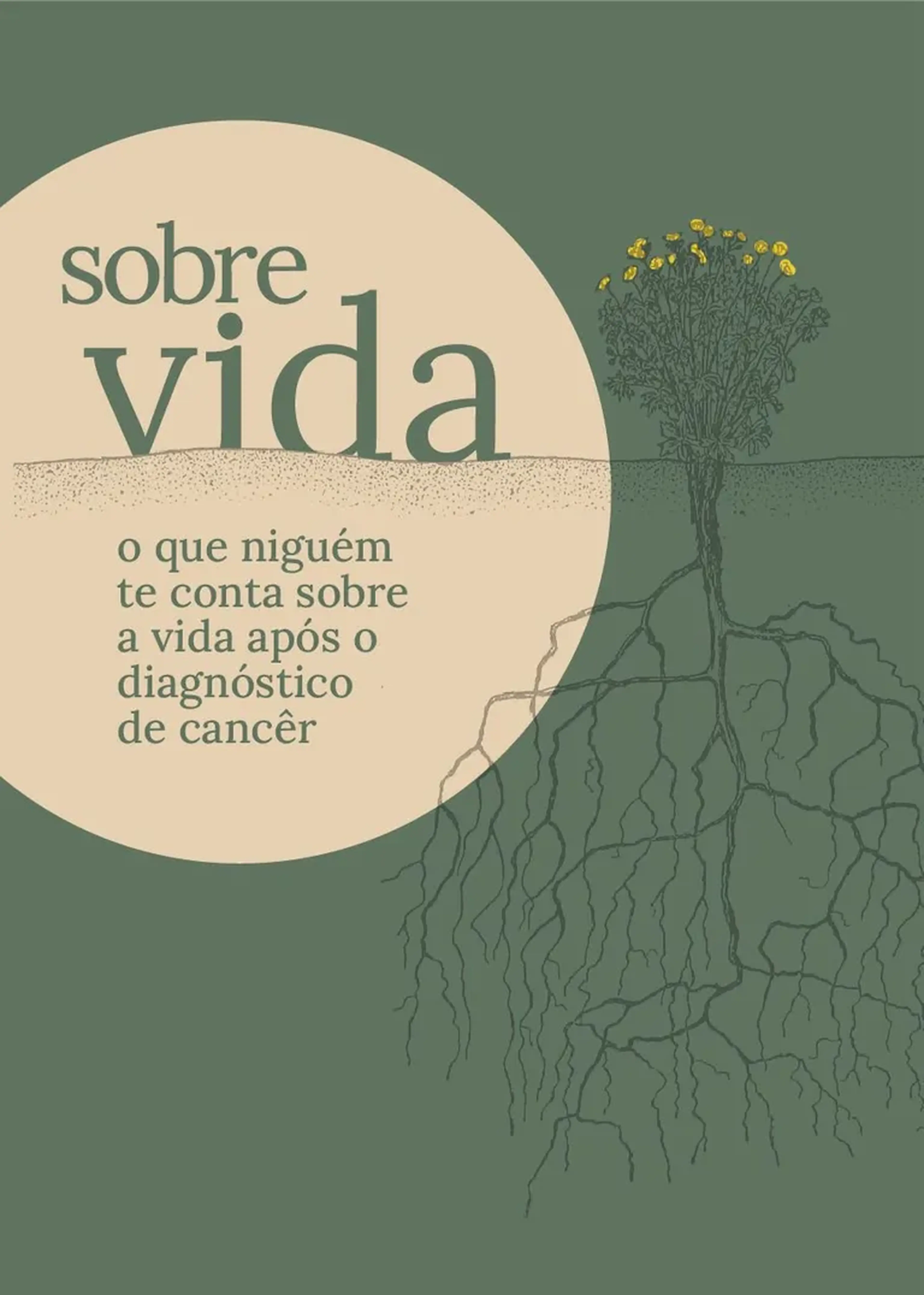 LIVRO SOBRE VIDA COM FRETE - FORA DE MACEIO-MANAUS imagem