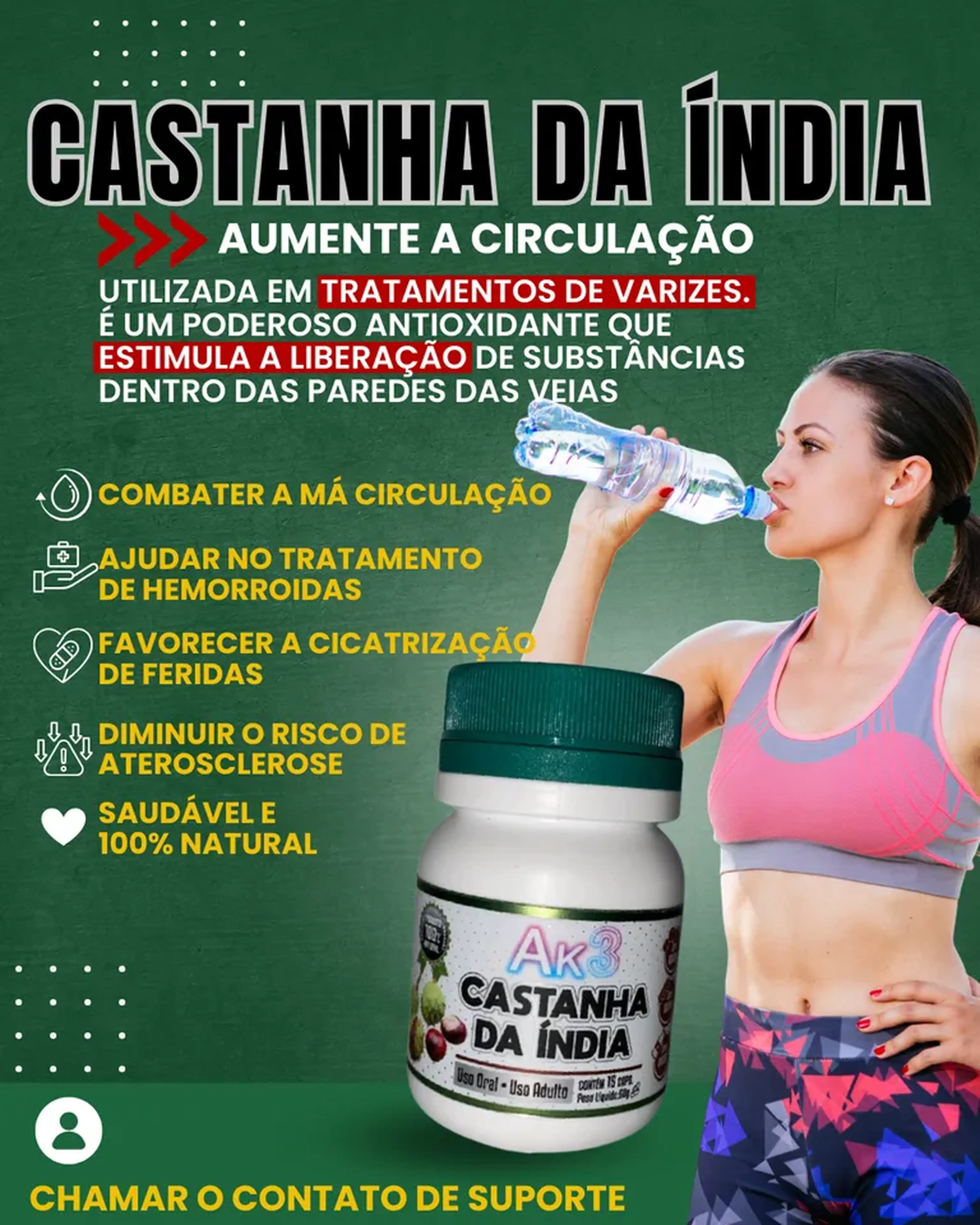 Castanha da India imagem
