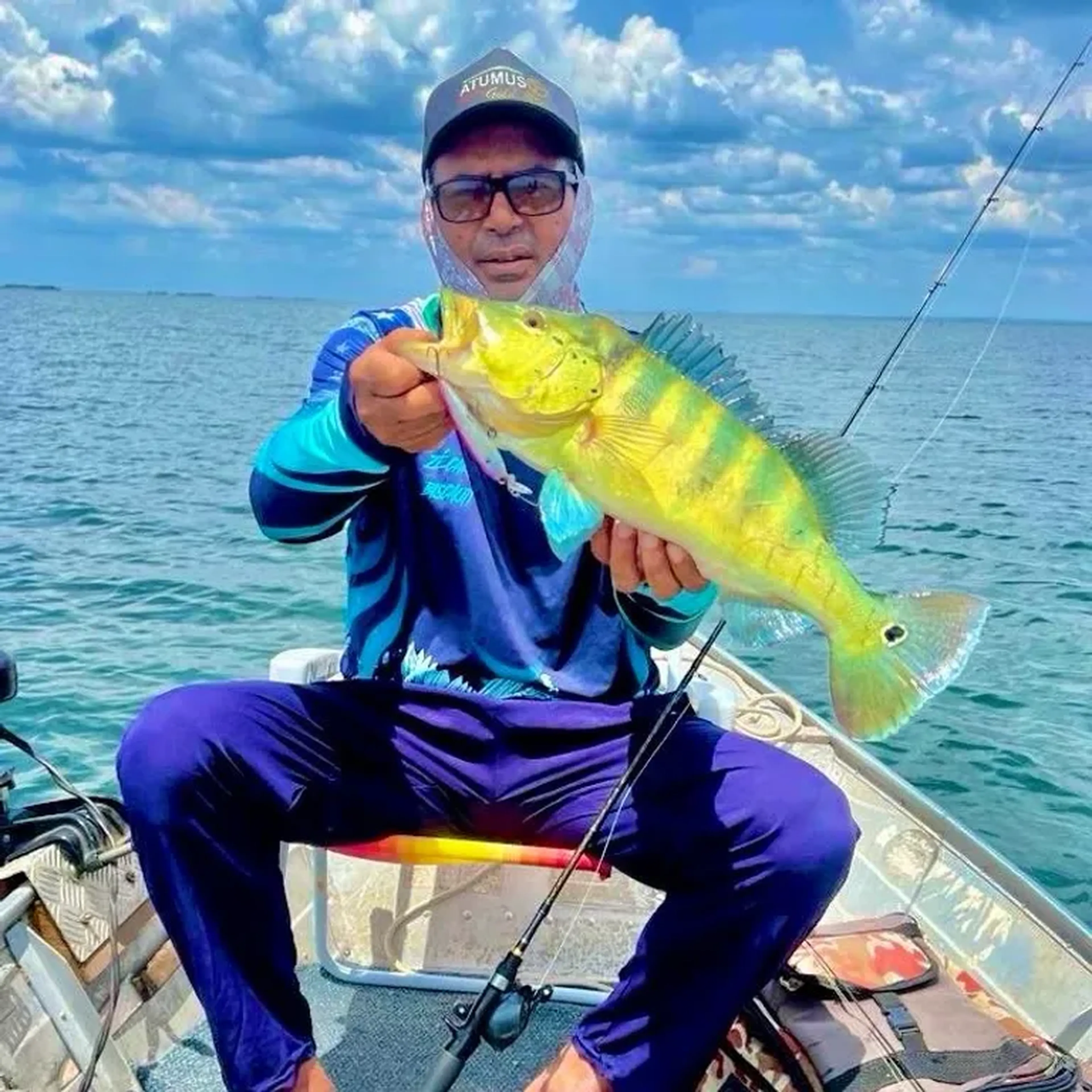 pilotagem (guia barco) imagem