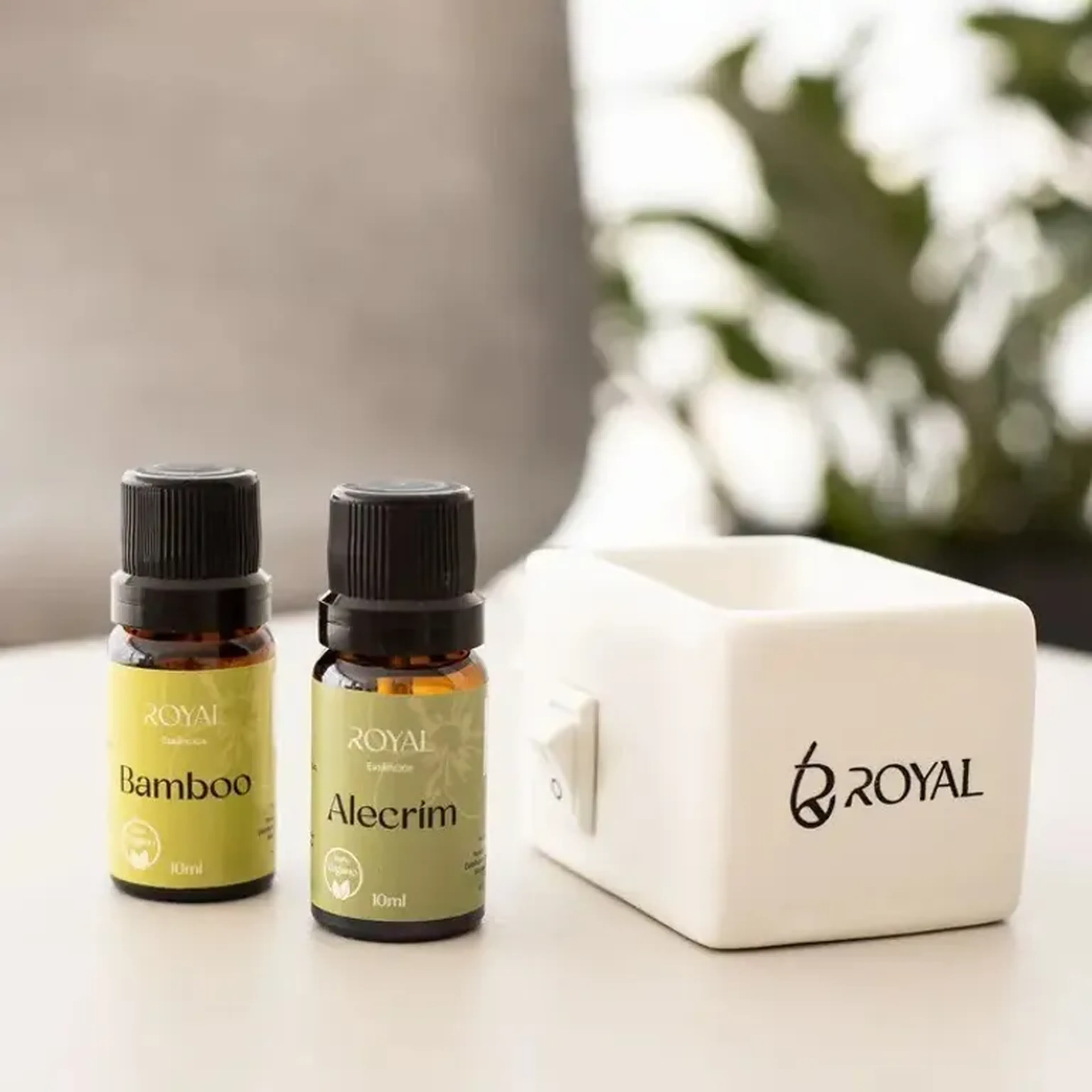 Essência de Bamboo – Frescor, Harmonia e Serenidade Natural imagem
