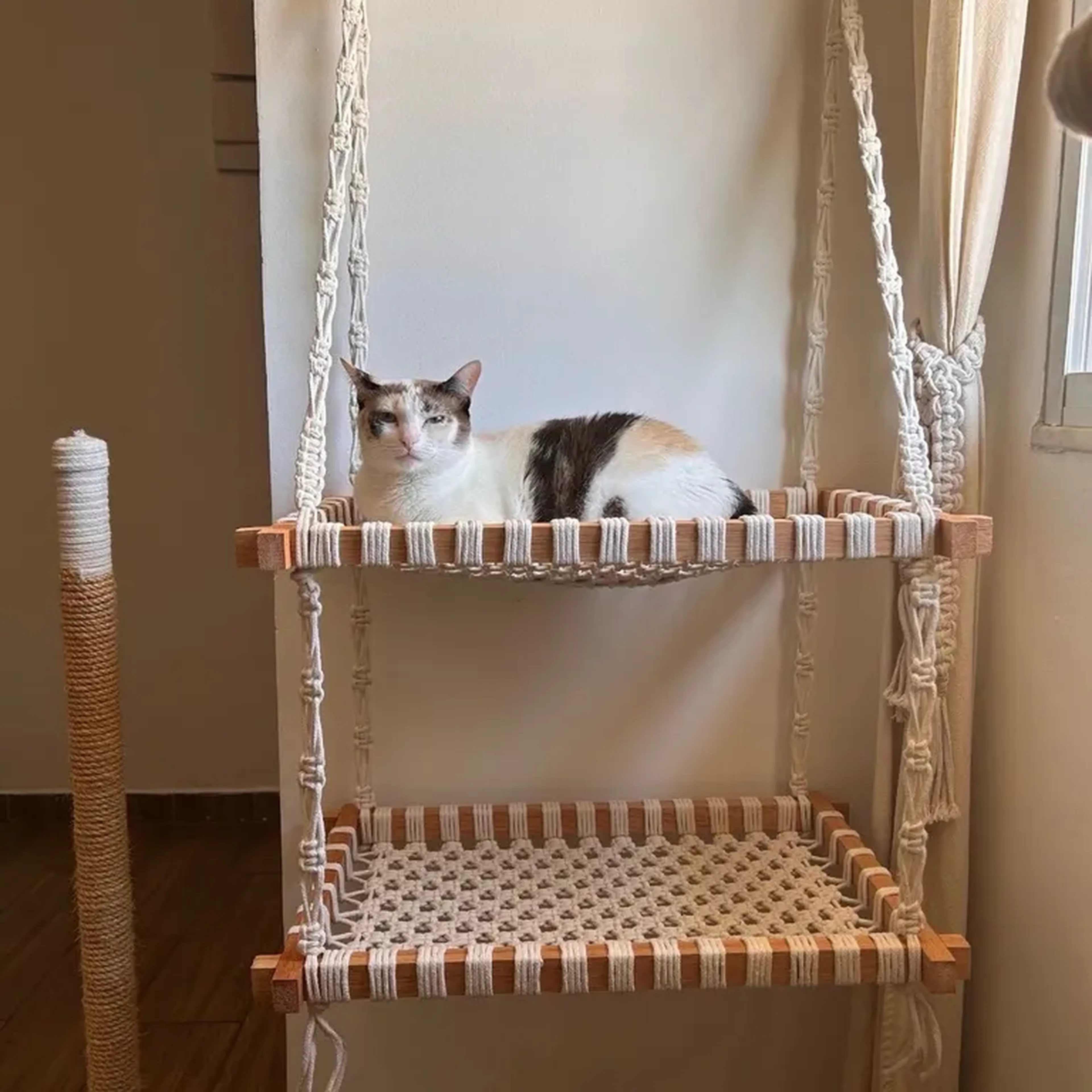 Cama dupla estrutura de madeira imagem