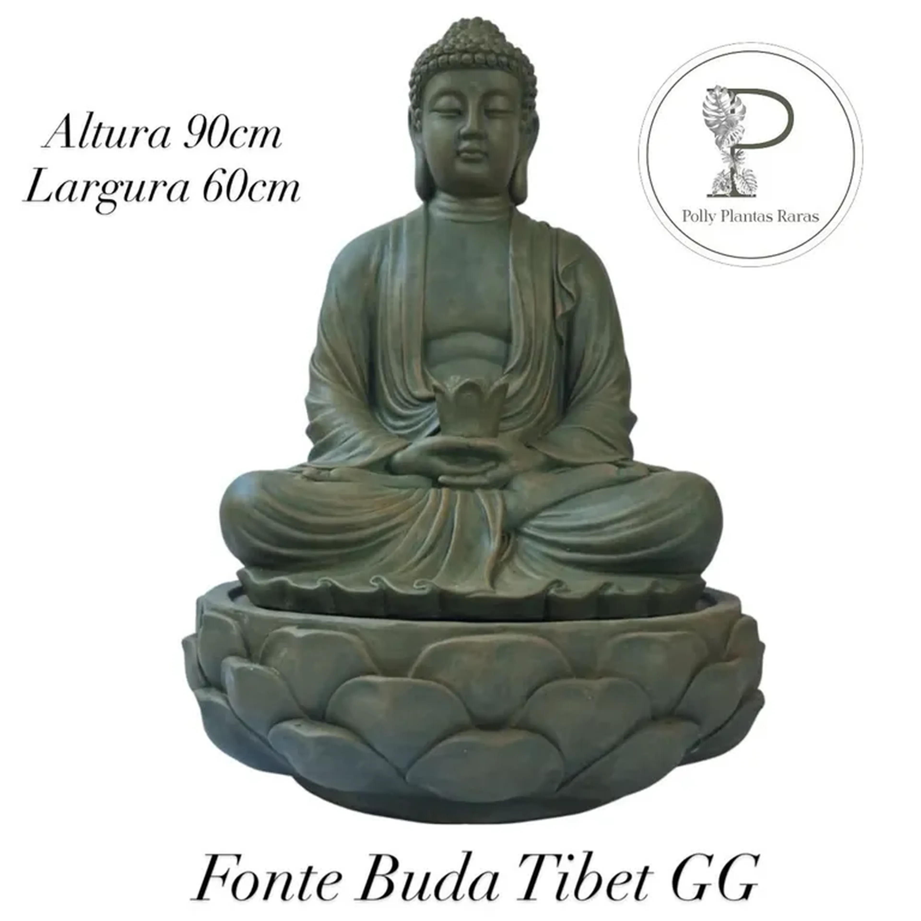 Fonte Buda Tibet GG imagem