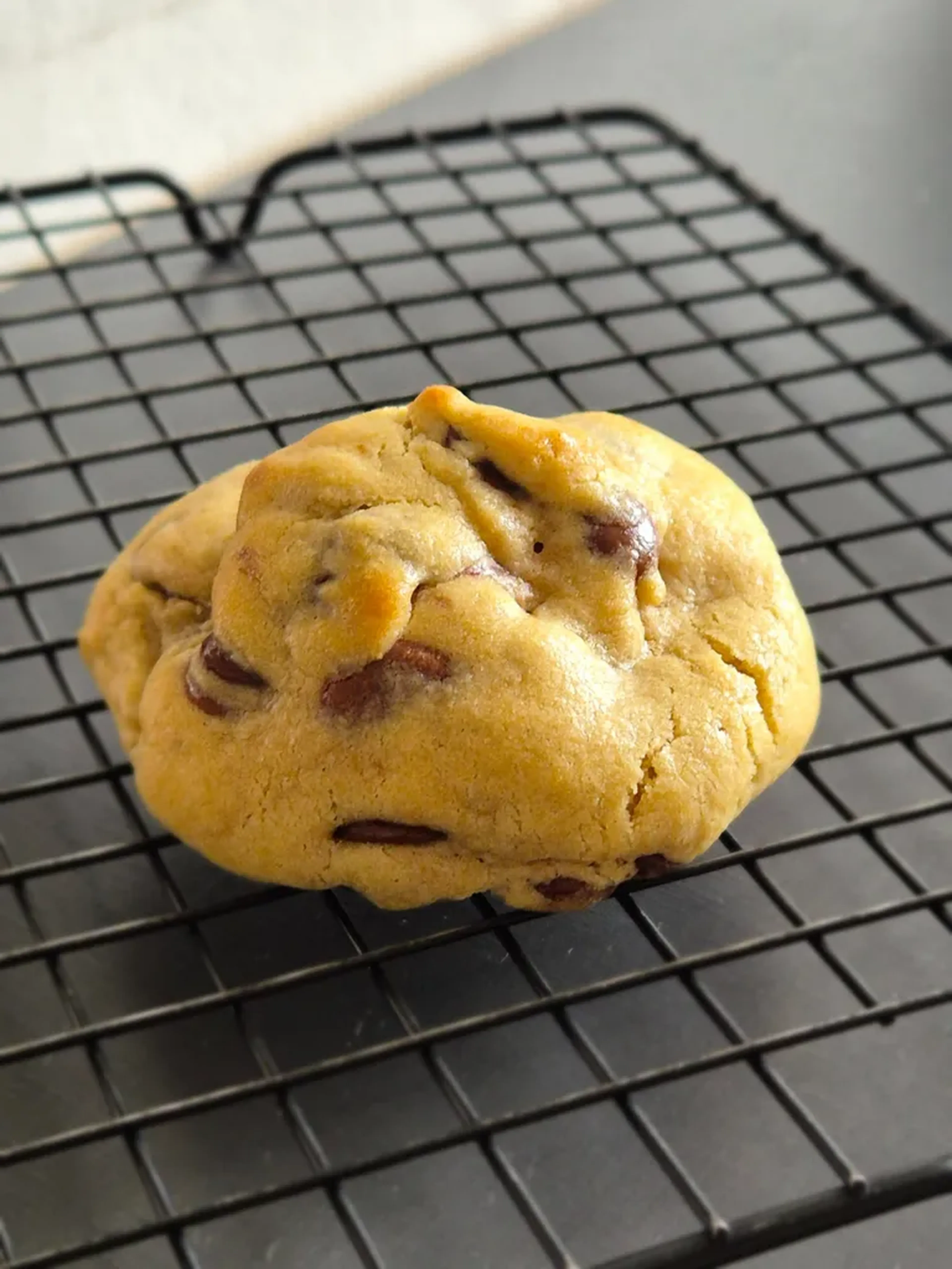 Chocolate Chip Cookie imagem