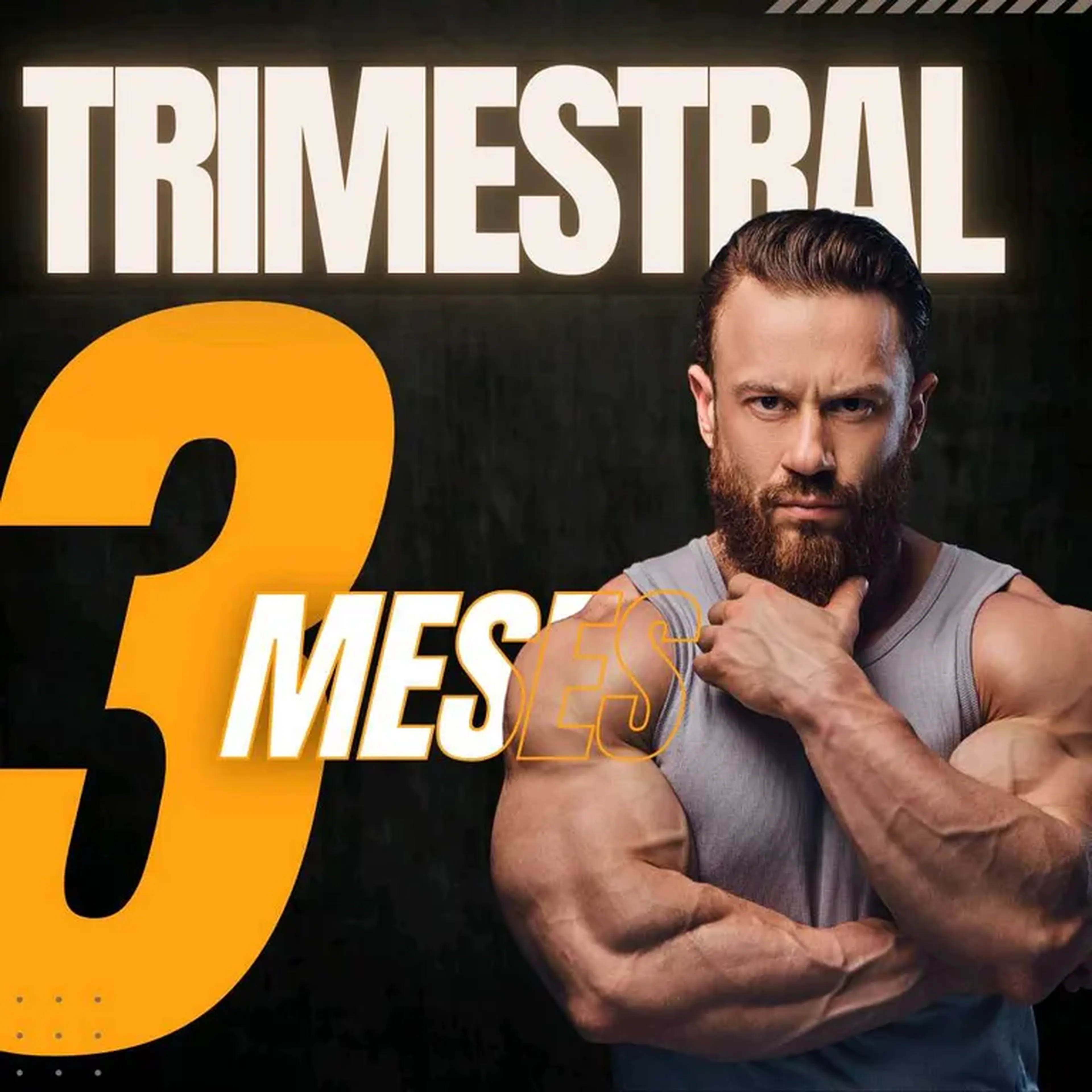 Acompanhamento Trimestral imagem