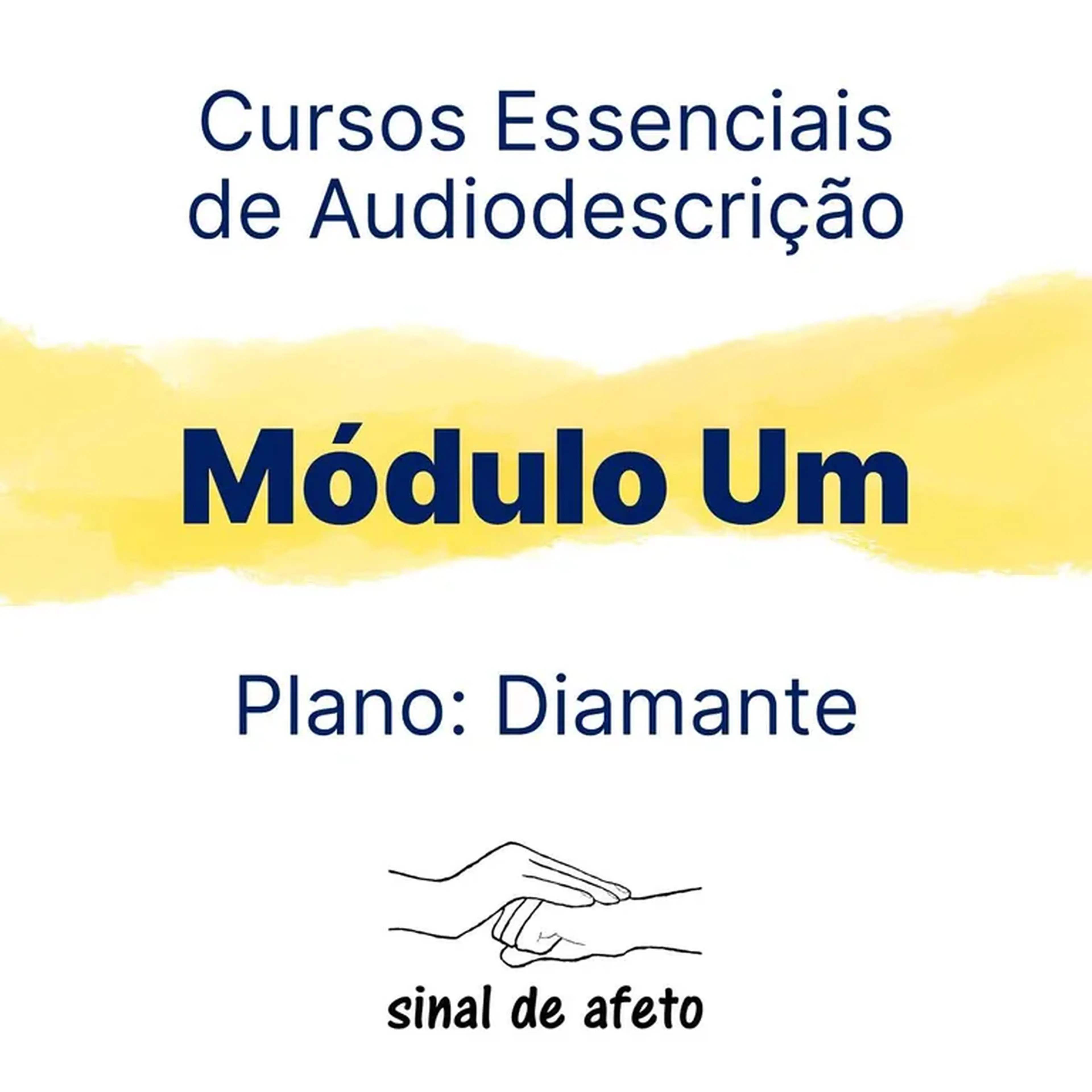 M1 40h - 3 meses - Módulo 1 Plano Diamante imagem