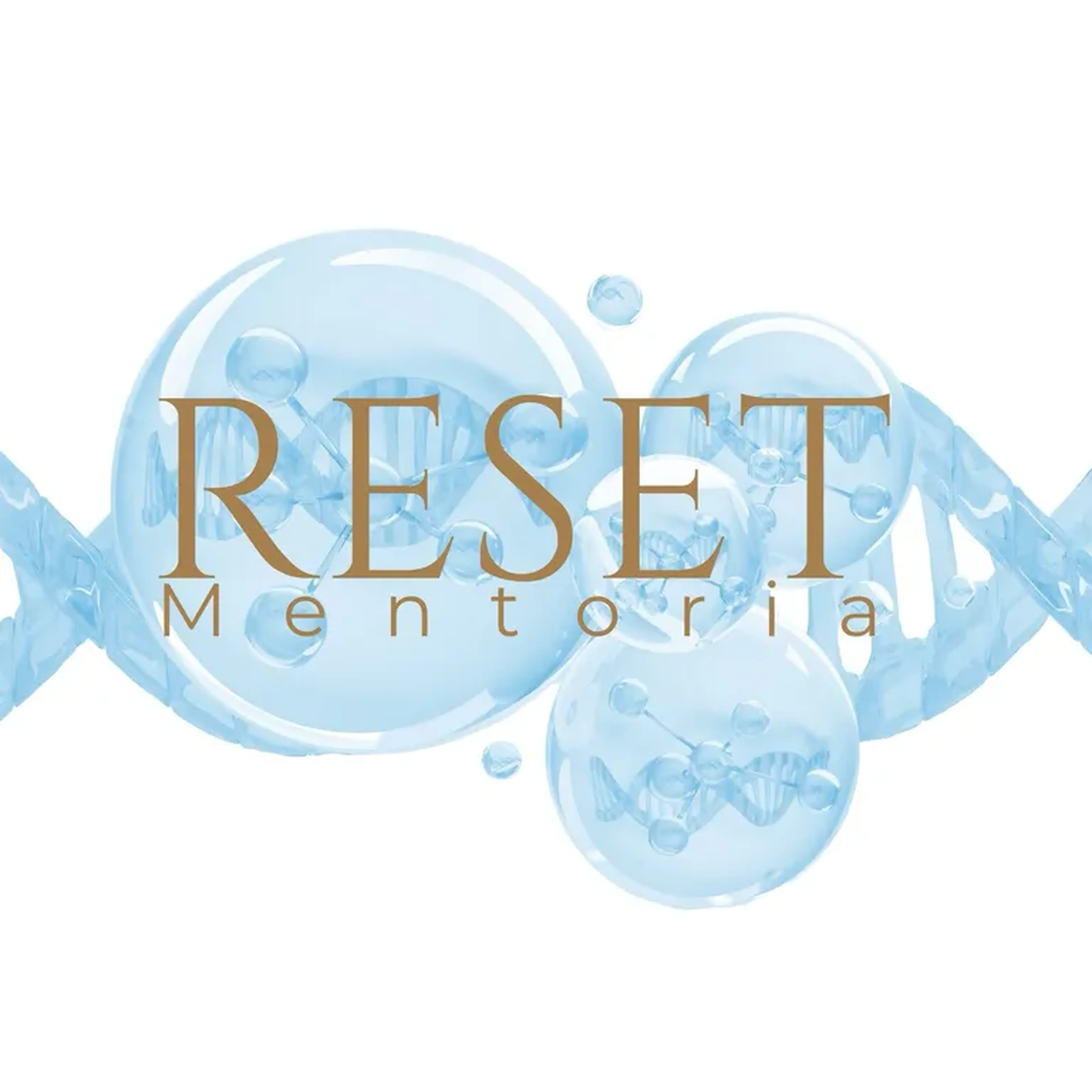 Mentoria Reset - Grupo imagem