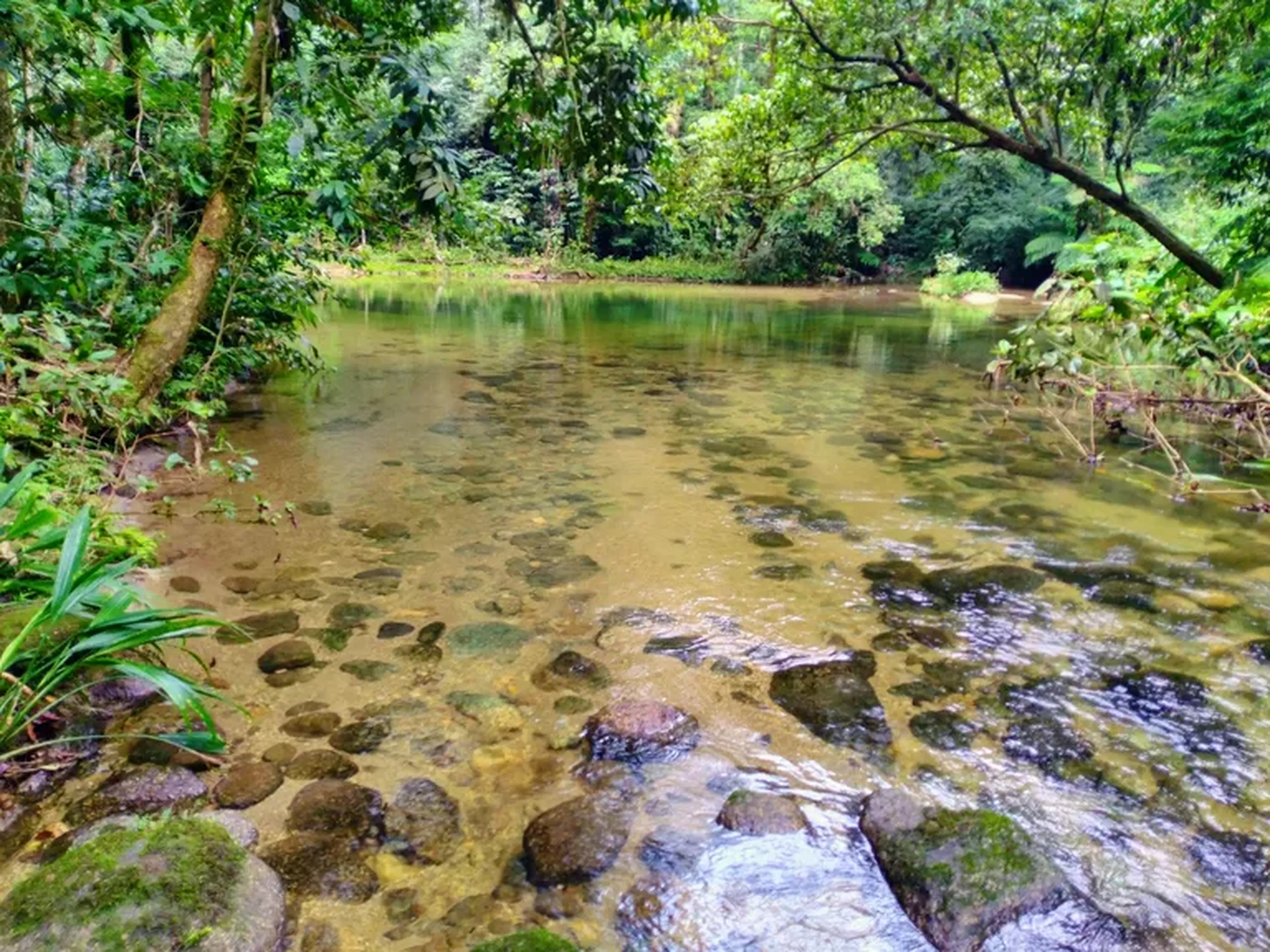 (09-11) Trilha do Guaratuba e Poço do Limão imagem