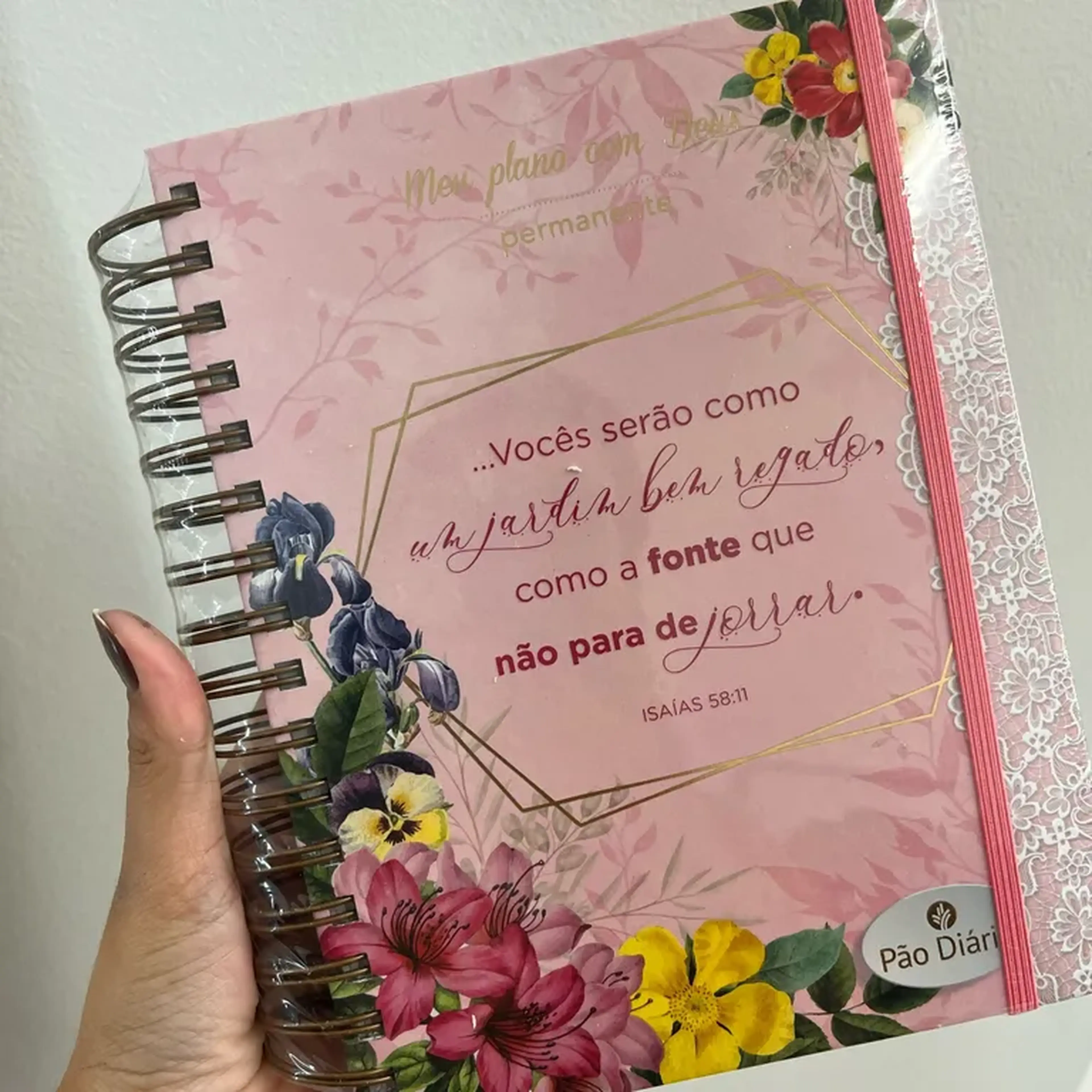 Meu plano com Deus permanente imagem