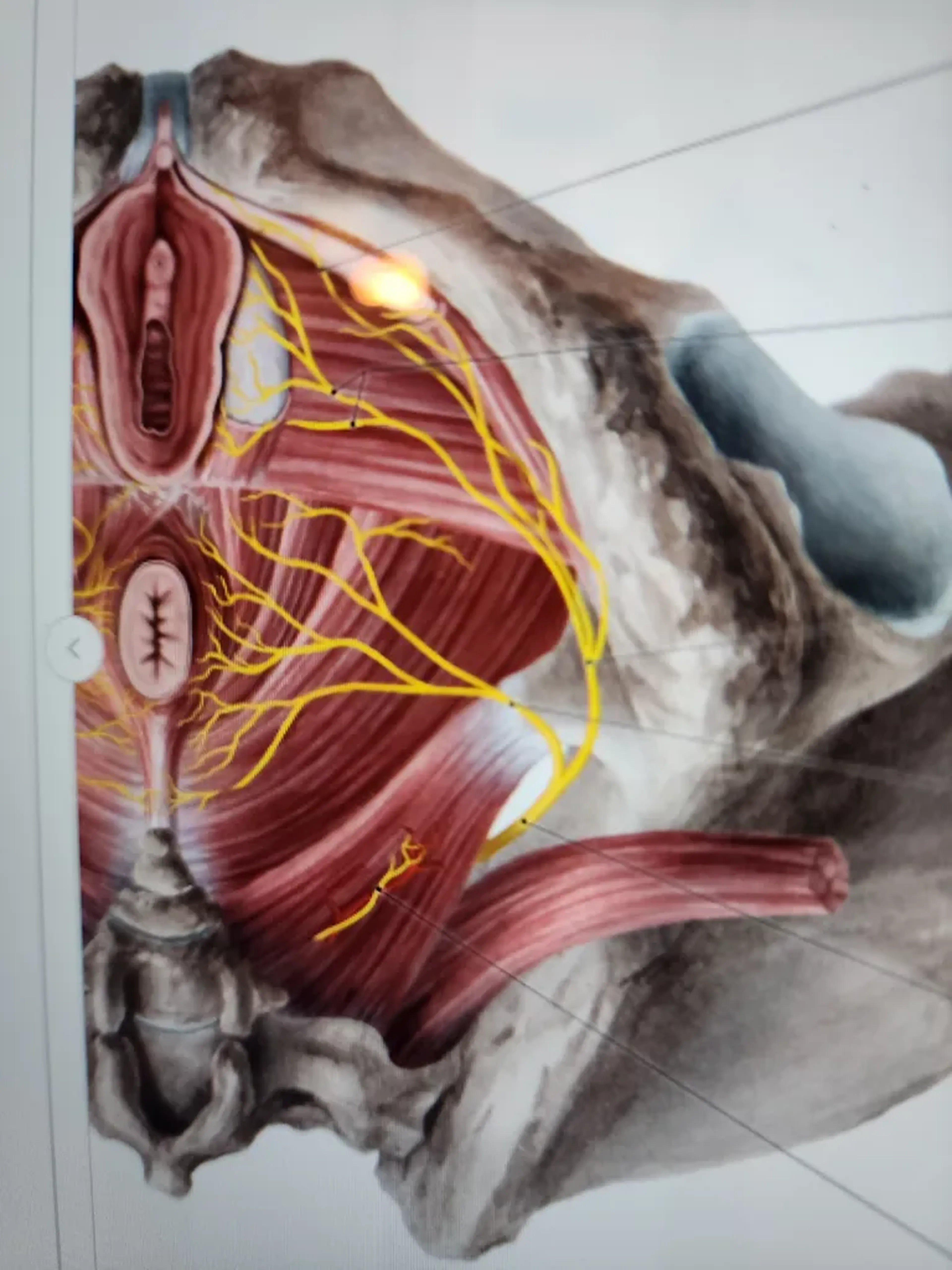 Cursos complexos - 200 cada curso imagem