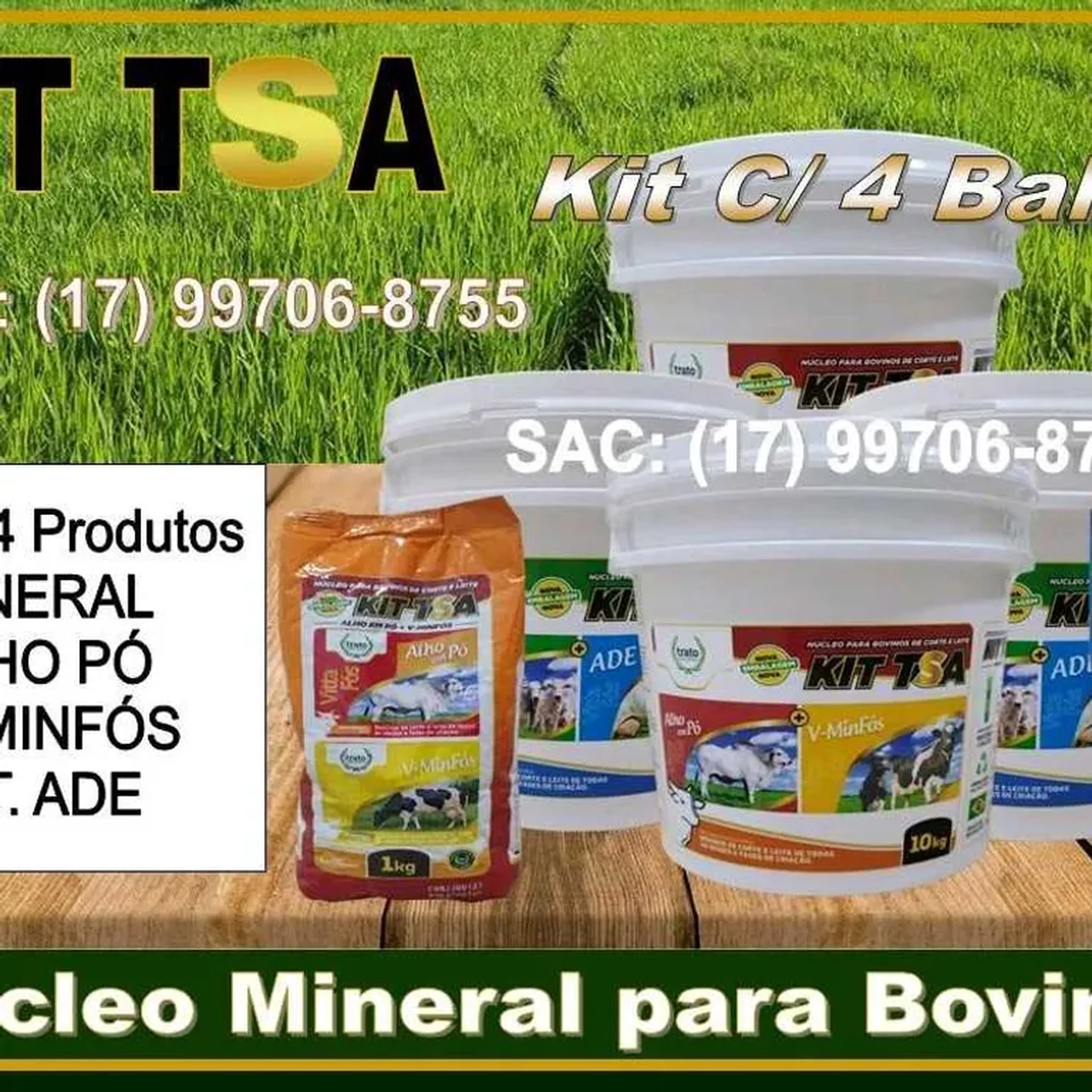 KIT TSA NÚCLEO MINERAL - KIT C 4 BALDES imagem