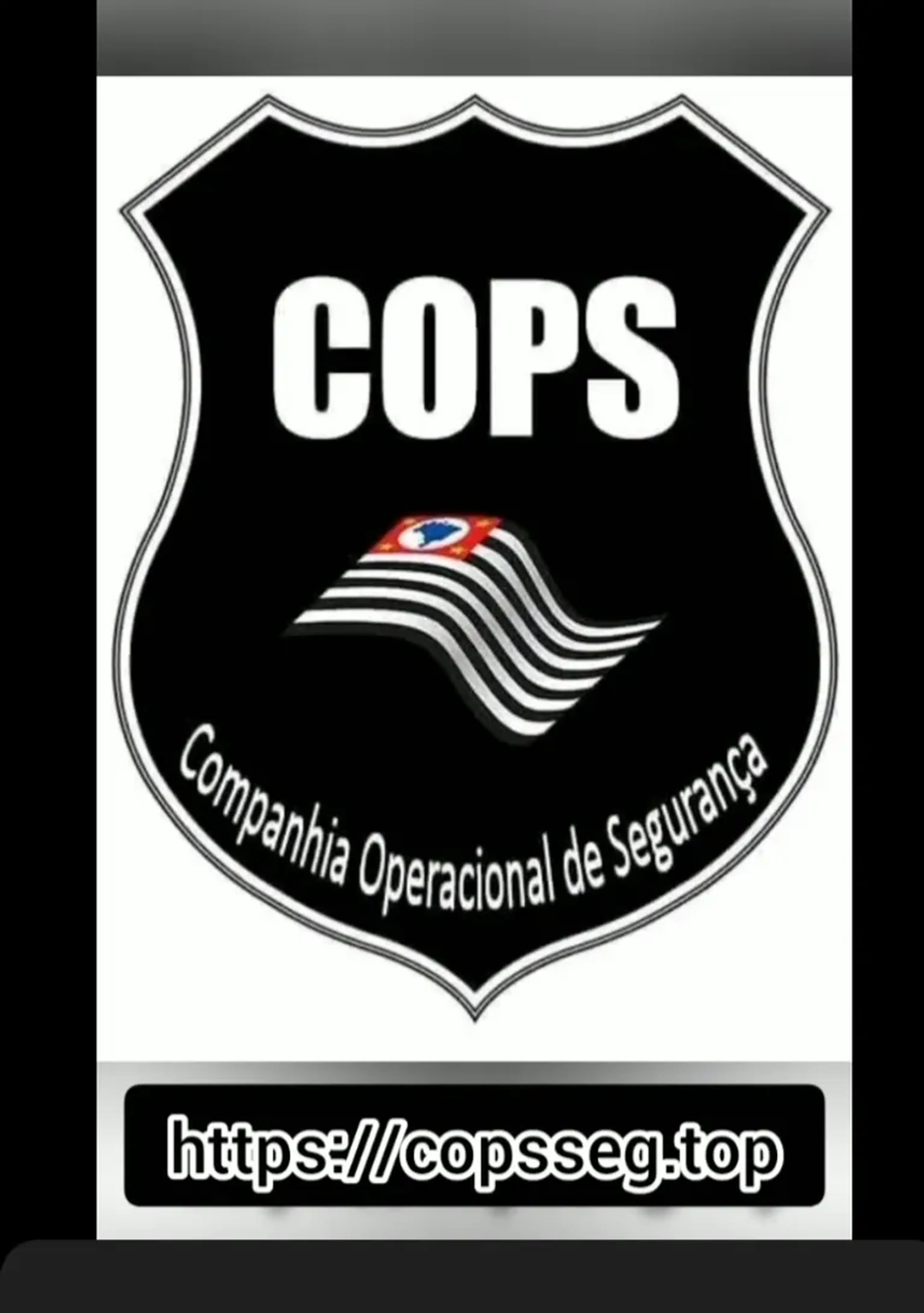 Segurança Privada imagem