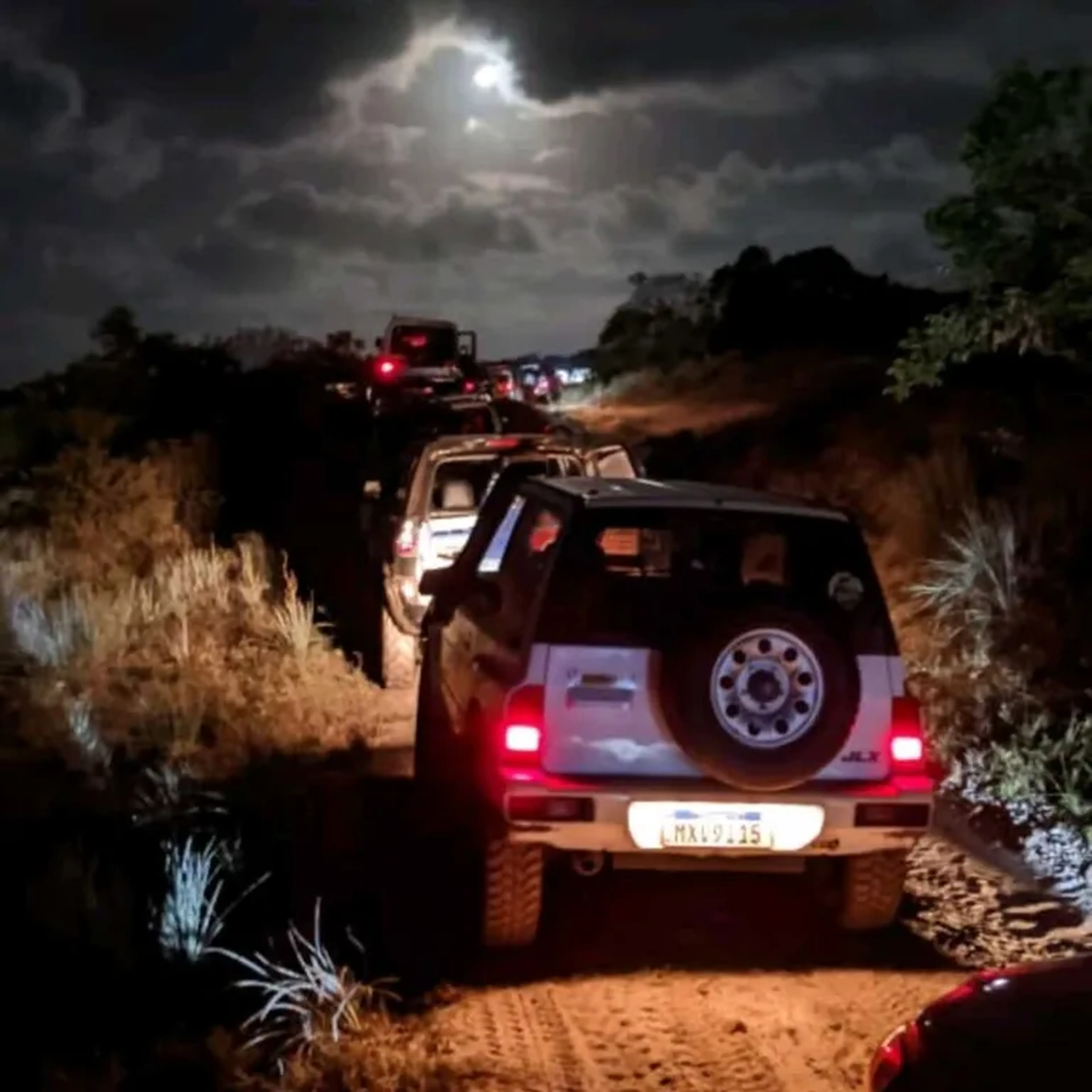 Camisa Extra Coruja 🦉 - Tamanho EXG (URSO) imagem