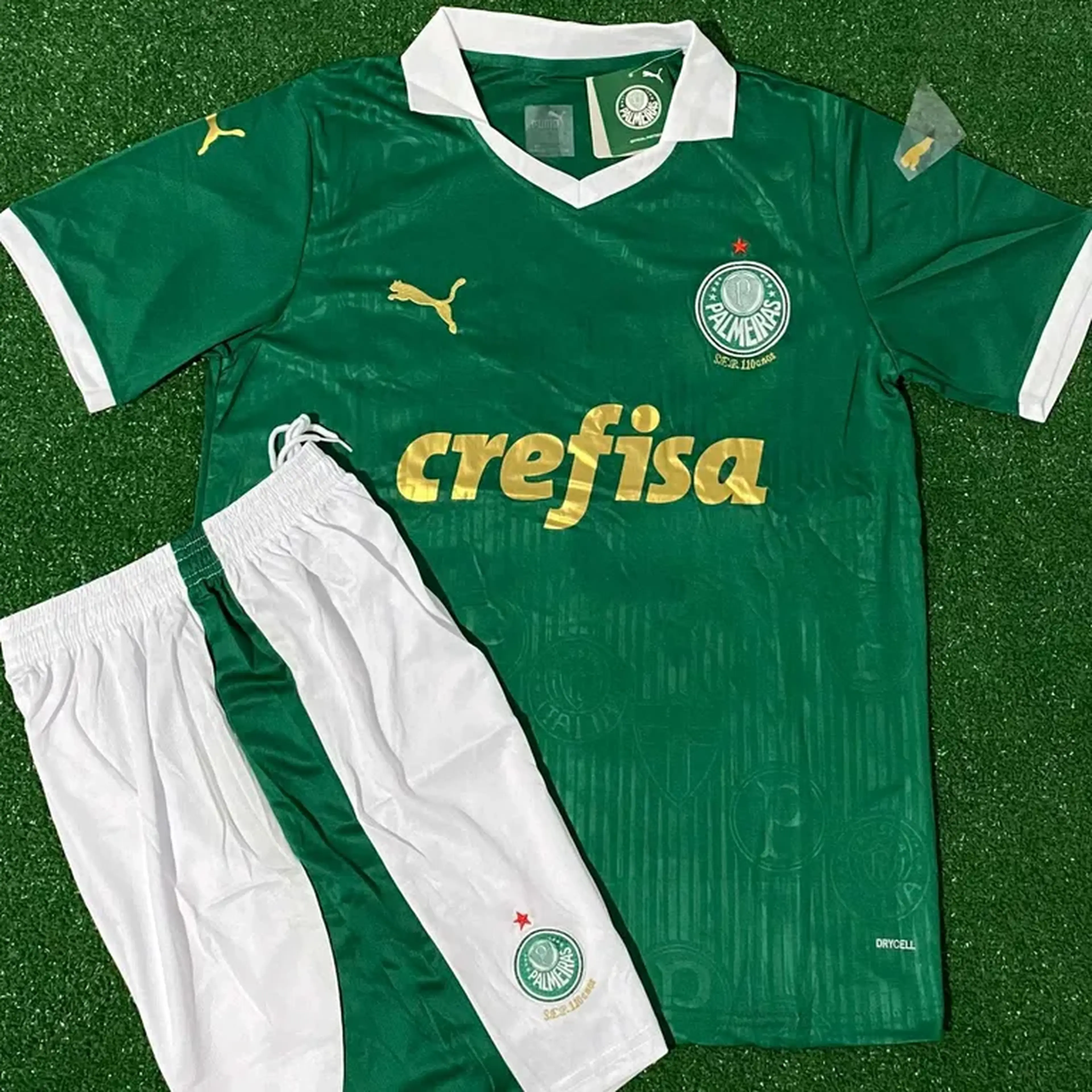 uniforme Palmeiras imagem