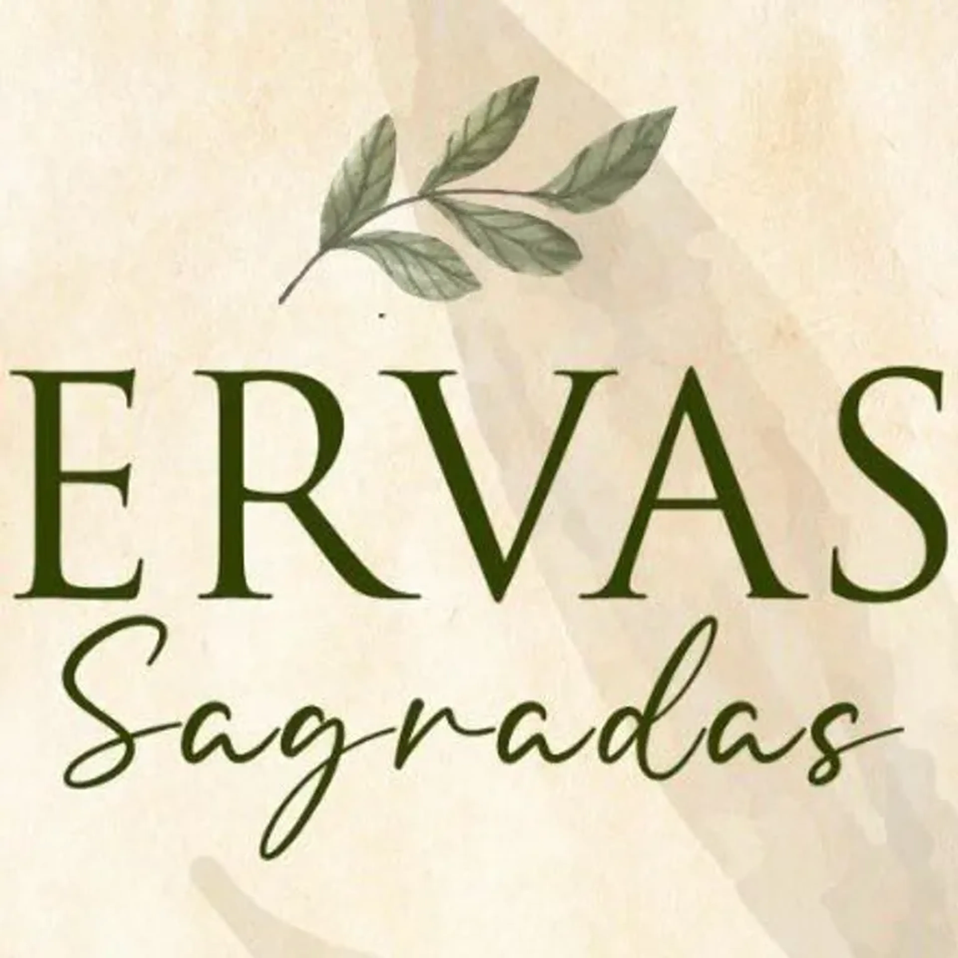ervad imagem