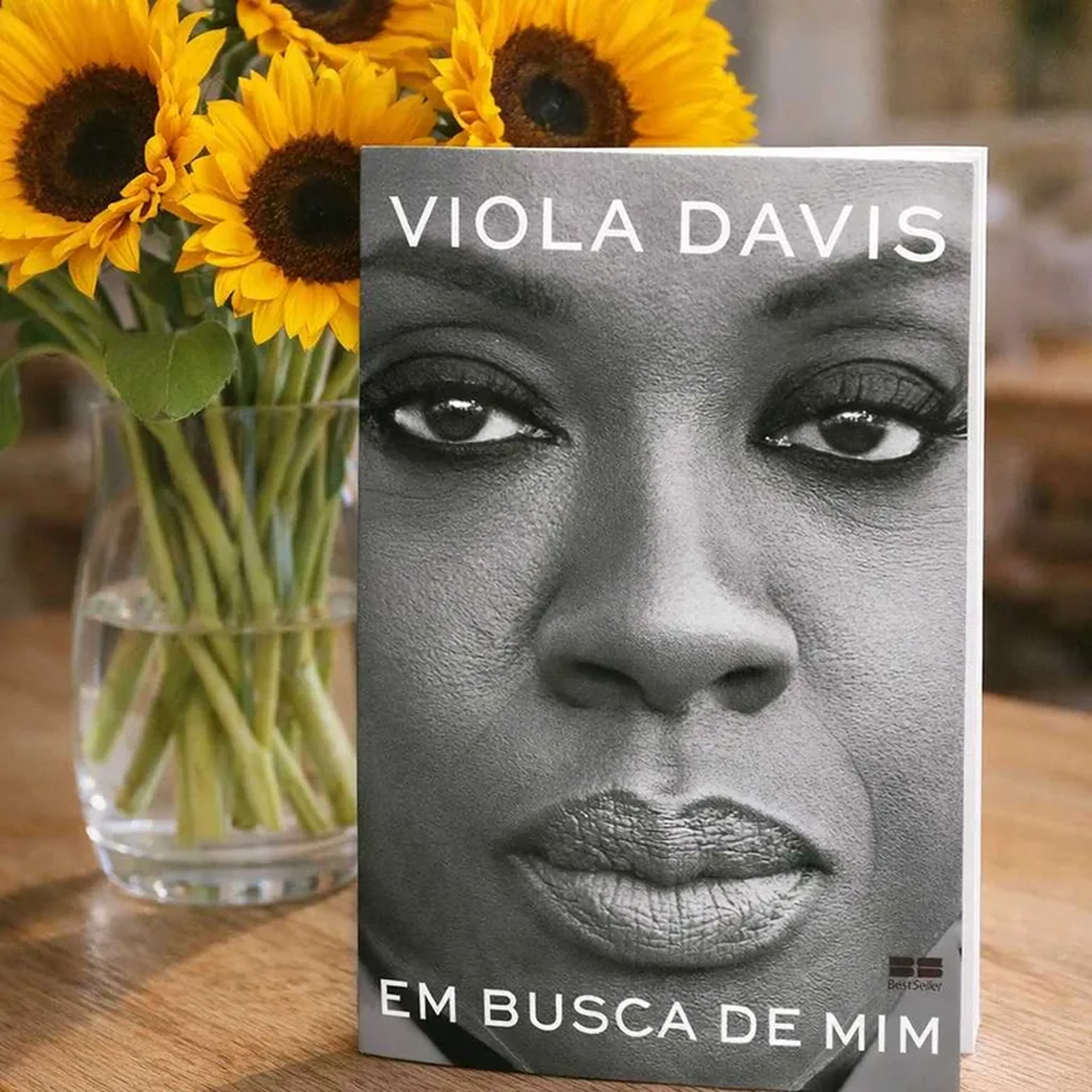 Clube de Leitura Biblio Girassol imagem