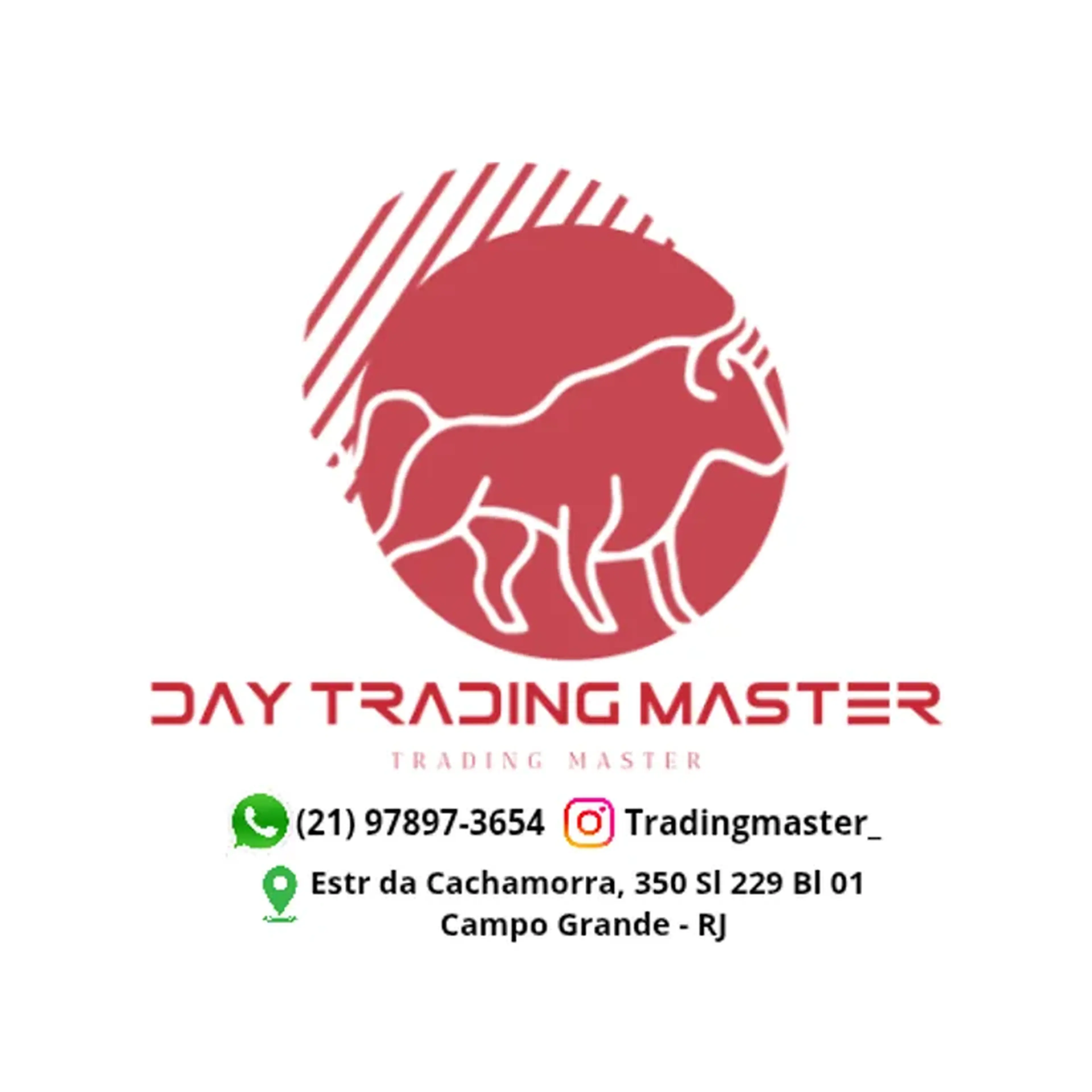 Curso Online de Day Trader B3 (Bolsa Brasil Balcão) imagem