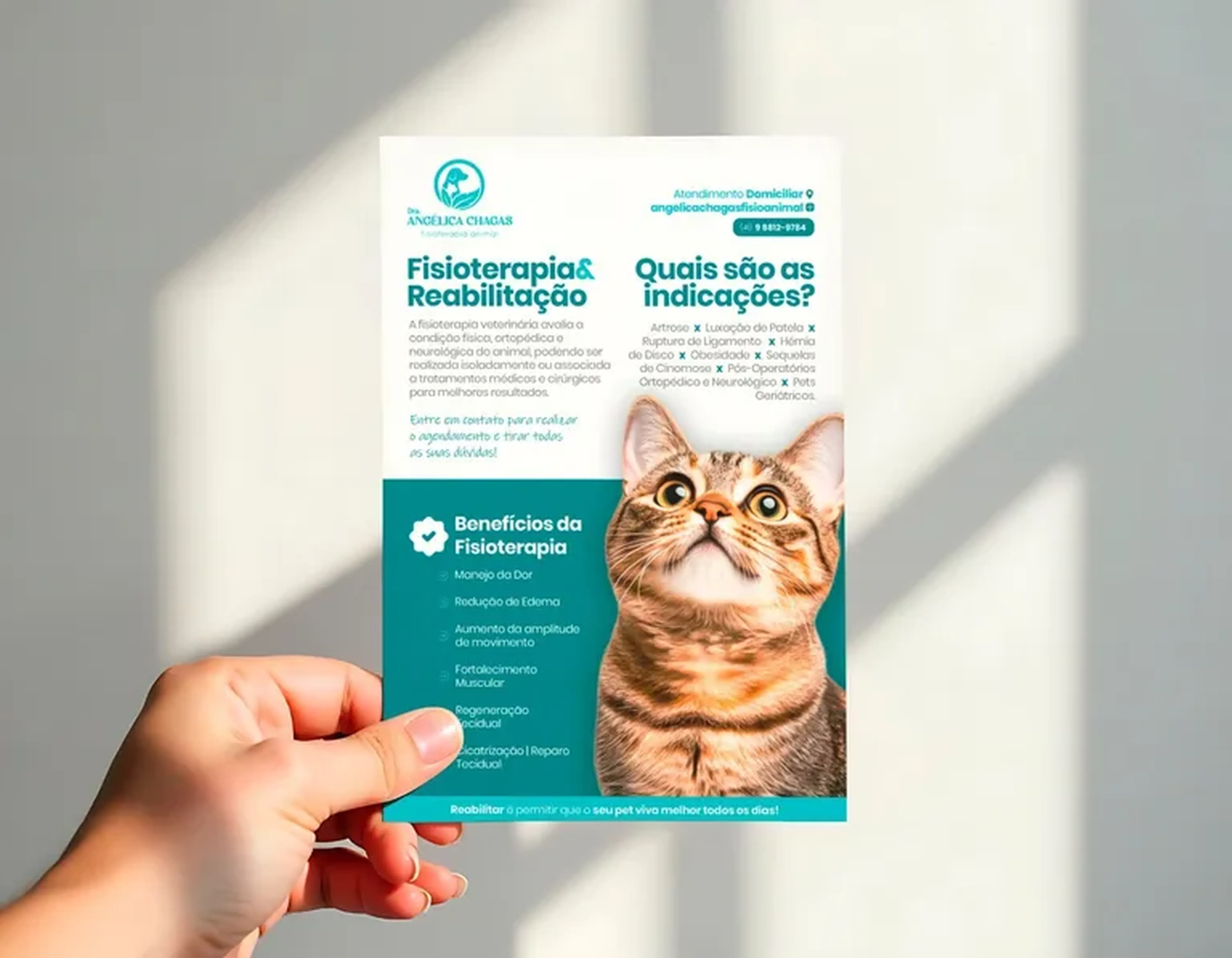 Flyer (10x15cm) imagem