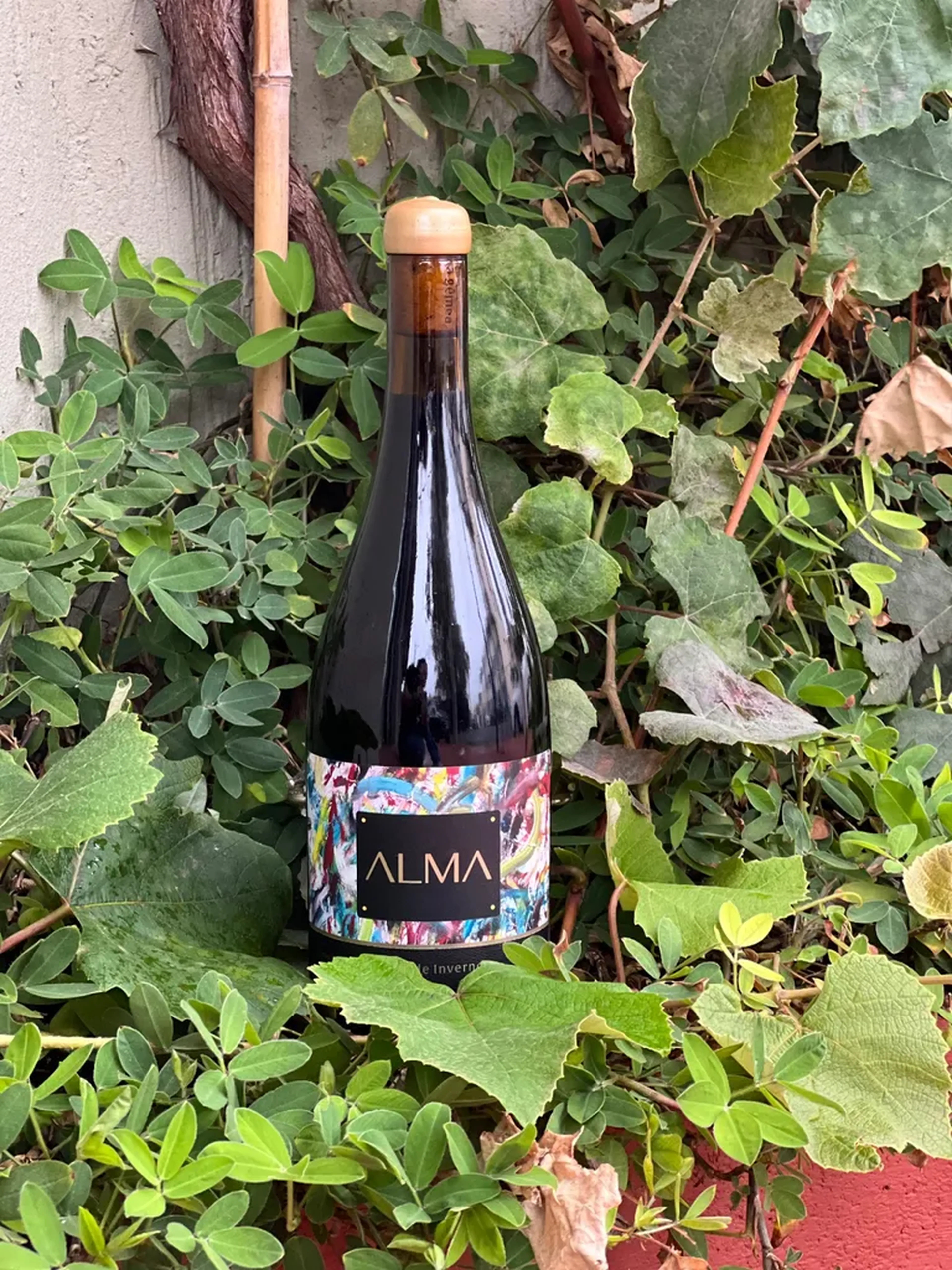 ALMA Syrah imagem