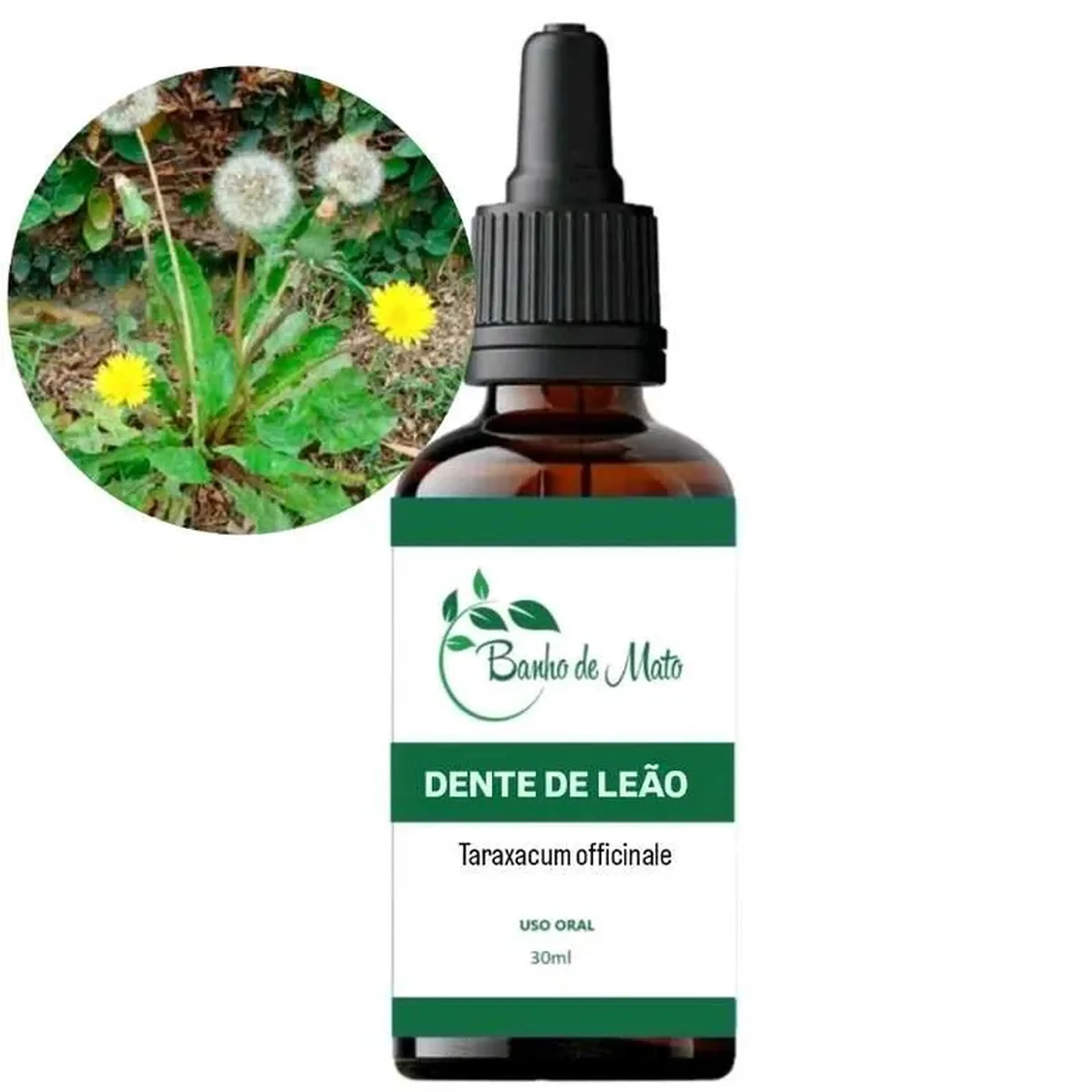 Extrato - DENTE DE LEÃO (Taraxacum officinale) imagem