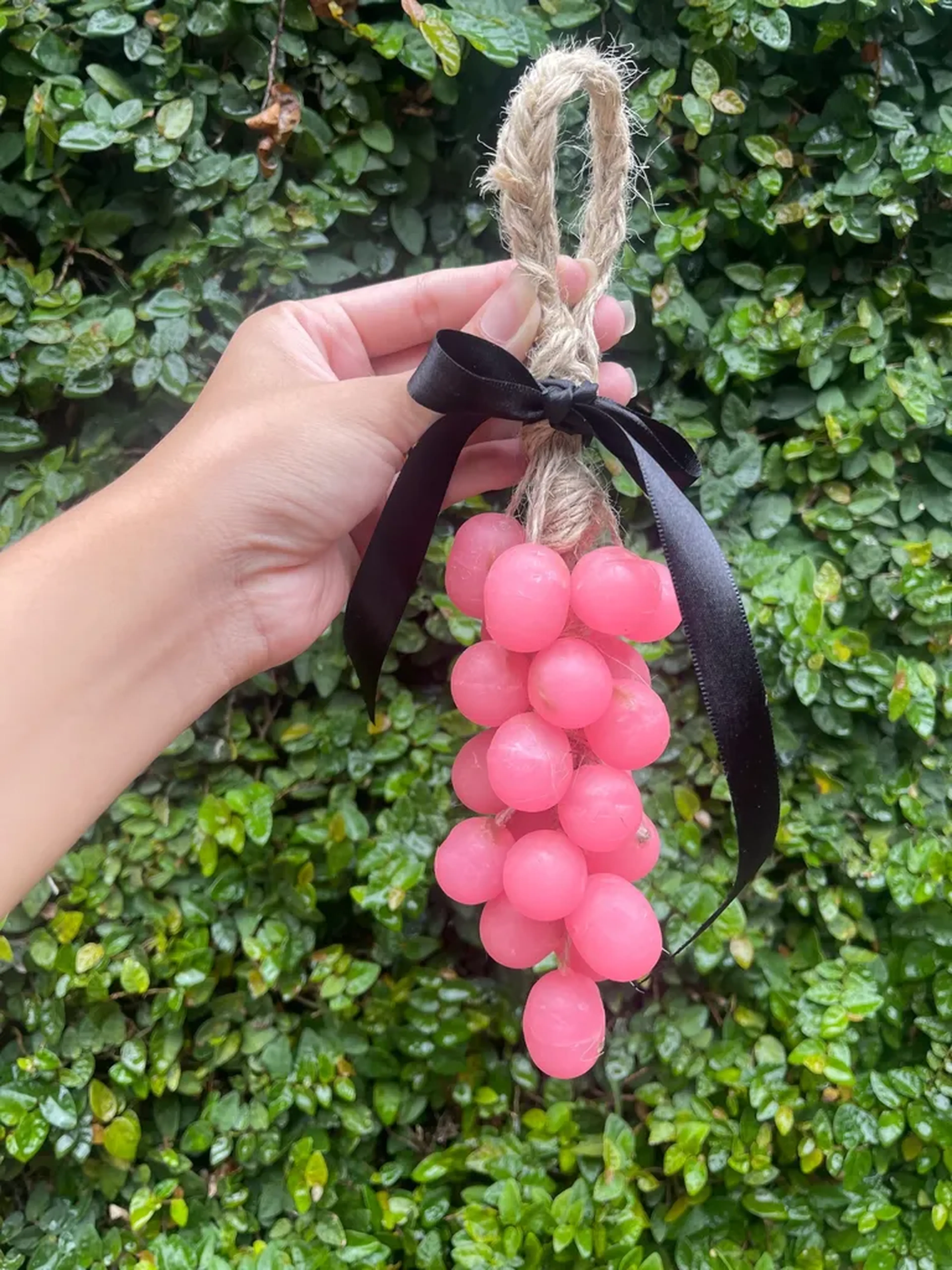 Cacho De Uva Rosa imagem